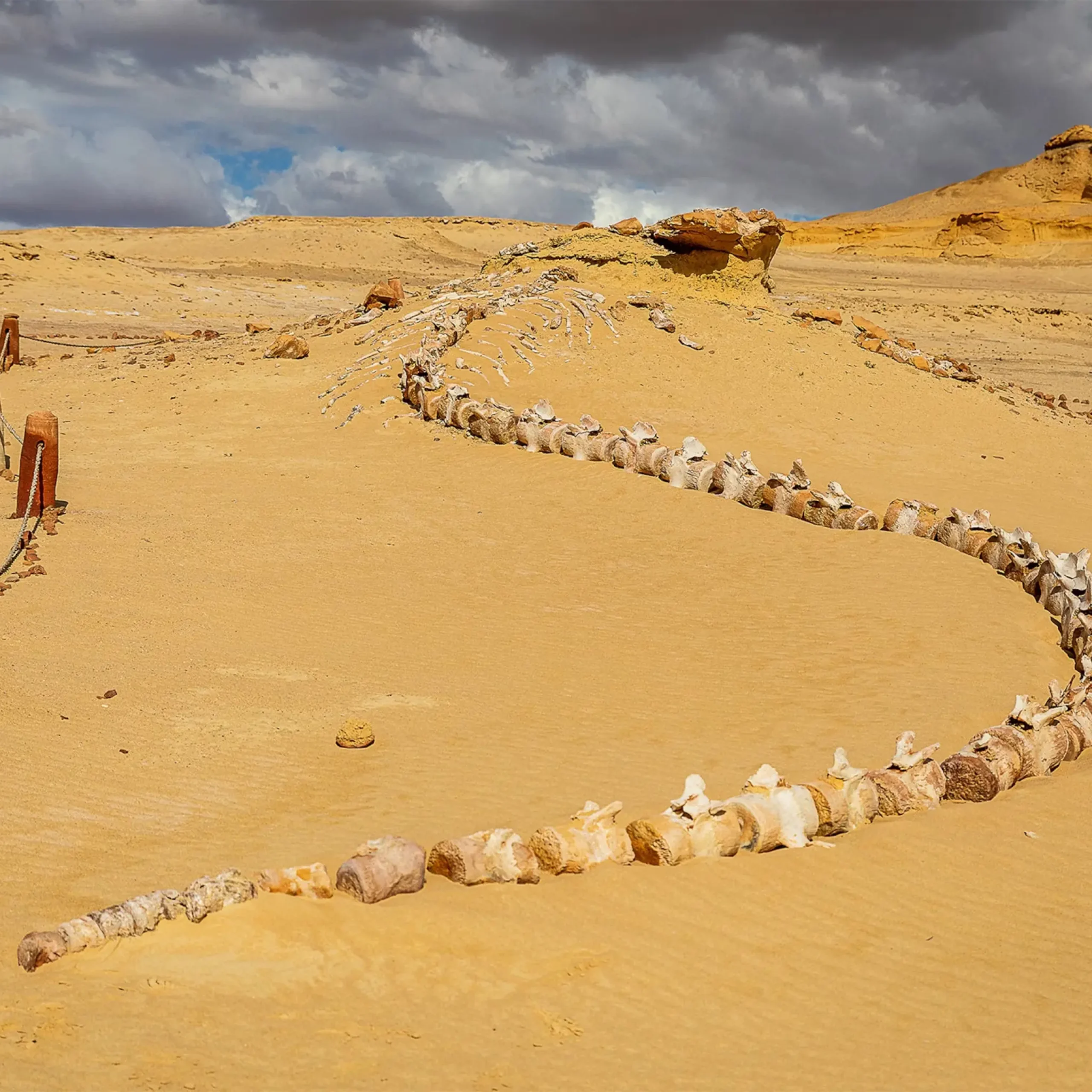 CAIRO, FAYOUM OVERDAY