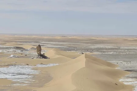 WHITE DESERT And   ABO MUHARRIK