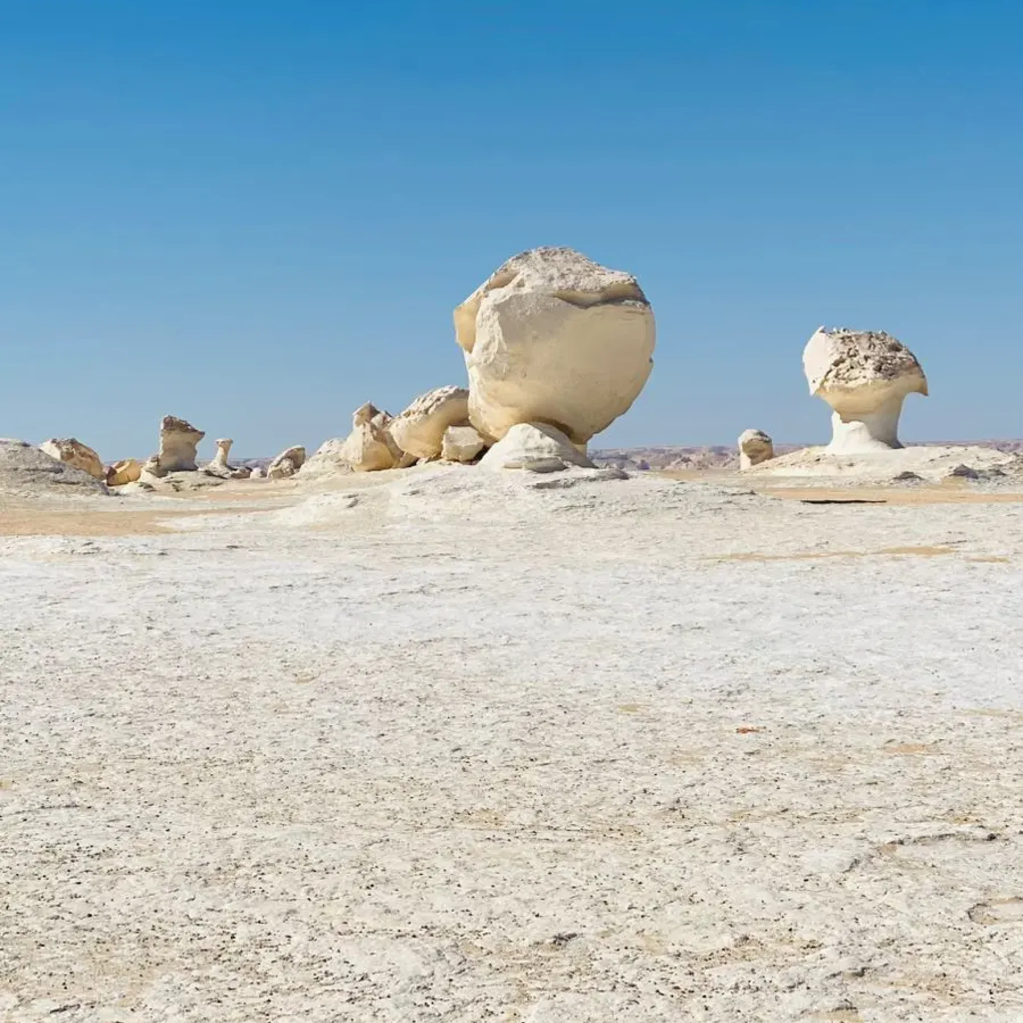 WhatsApp Image 2026-03-23 at 6.28.56 PM (1)