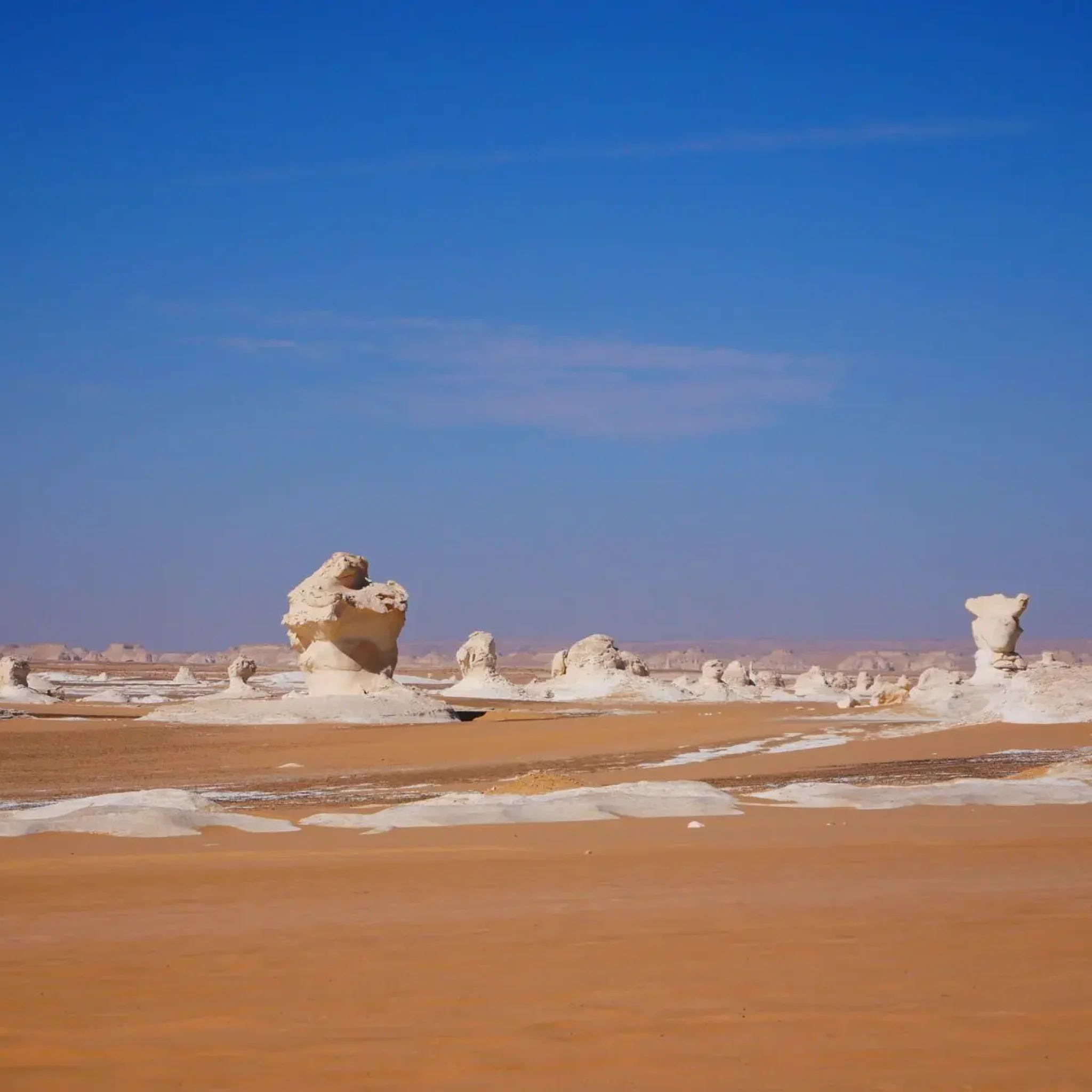 WhatsApp Image 2026-03-23 at 6.28.56 PM