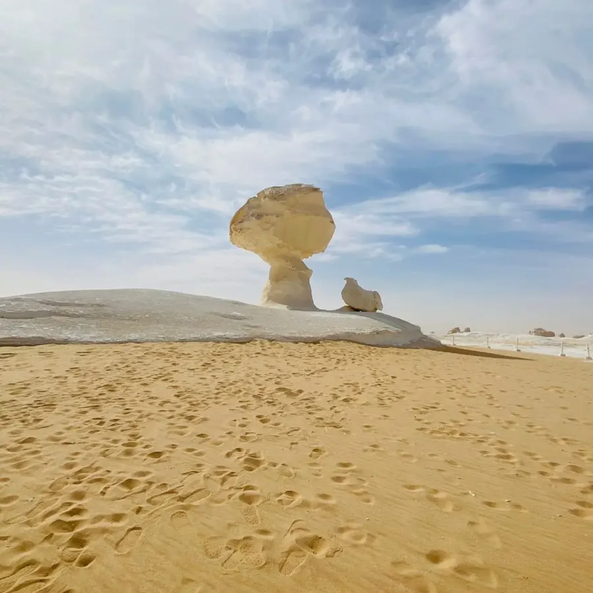 WhatsApp Image 2026-03-23 at 6.28.57 PM