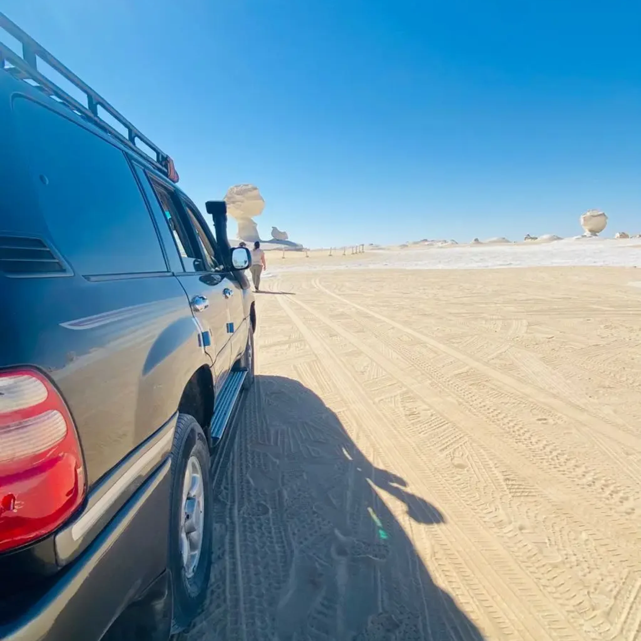 WhatsApp Image 2026-03-23 at 6.28.58 PM (1)