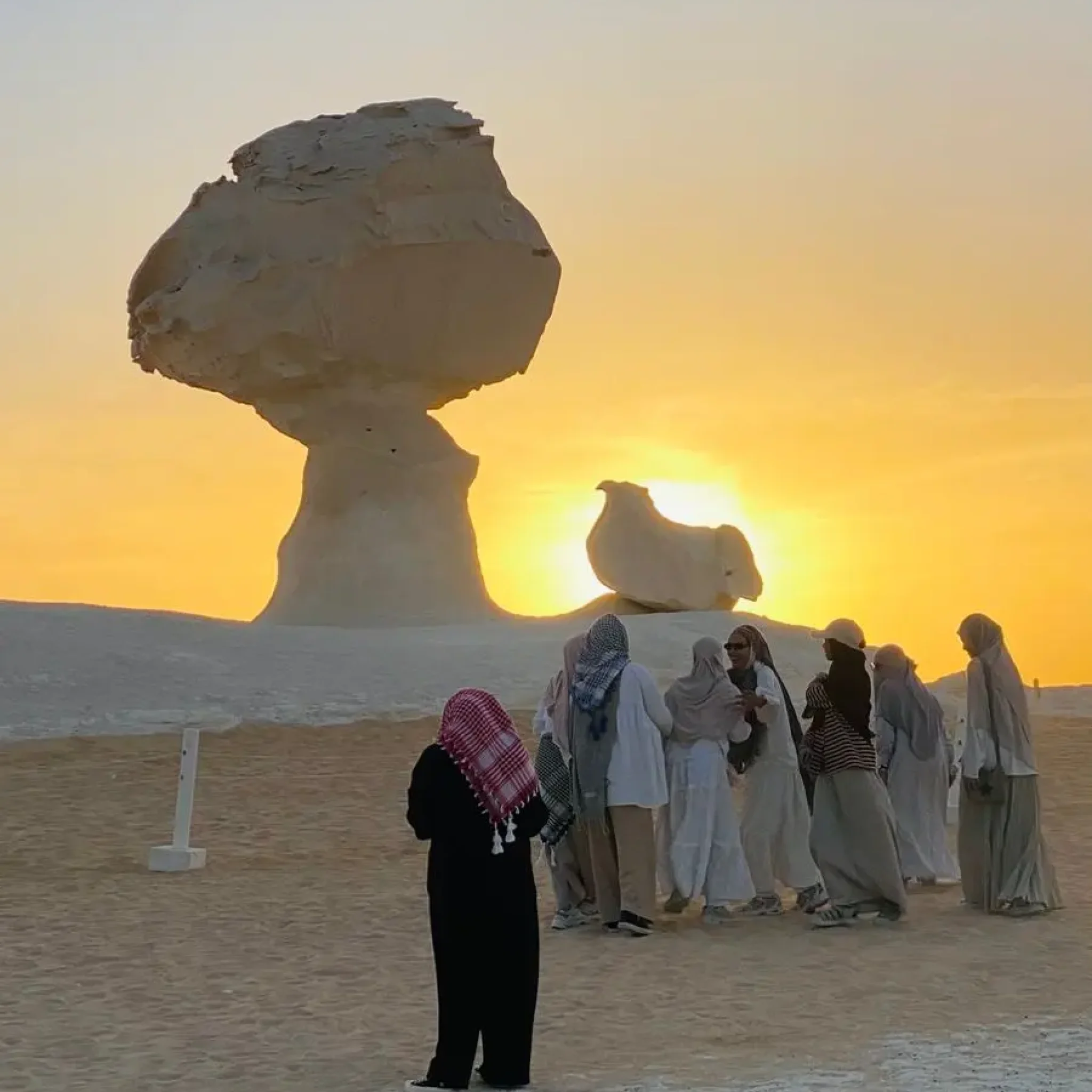 WhatsApp Image 2026-03-23 at 6.28.58 PM