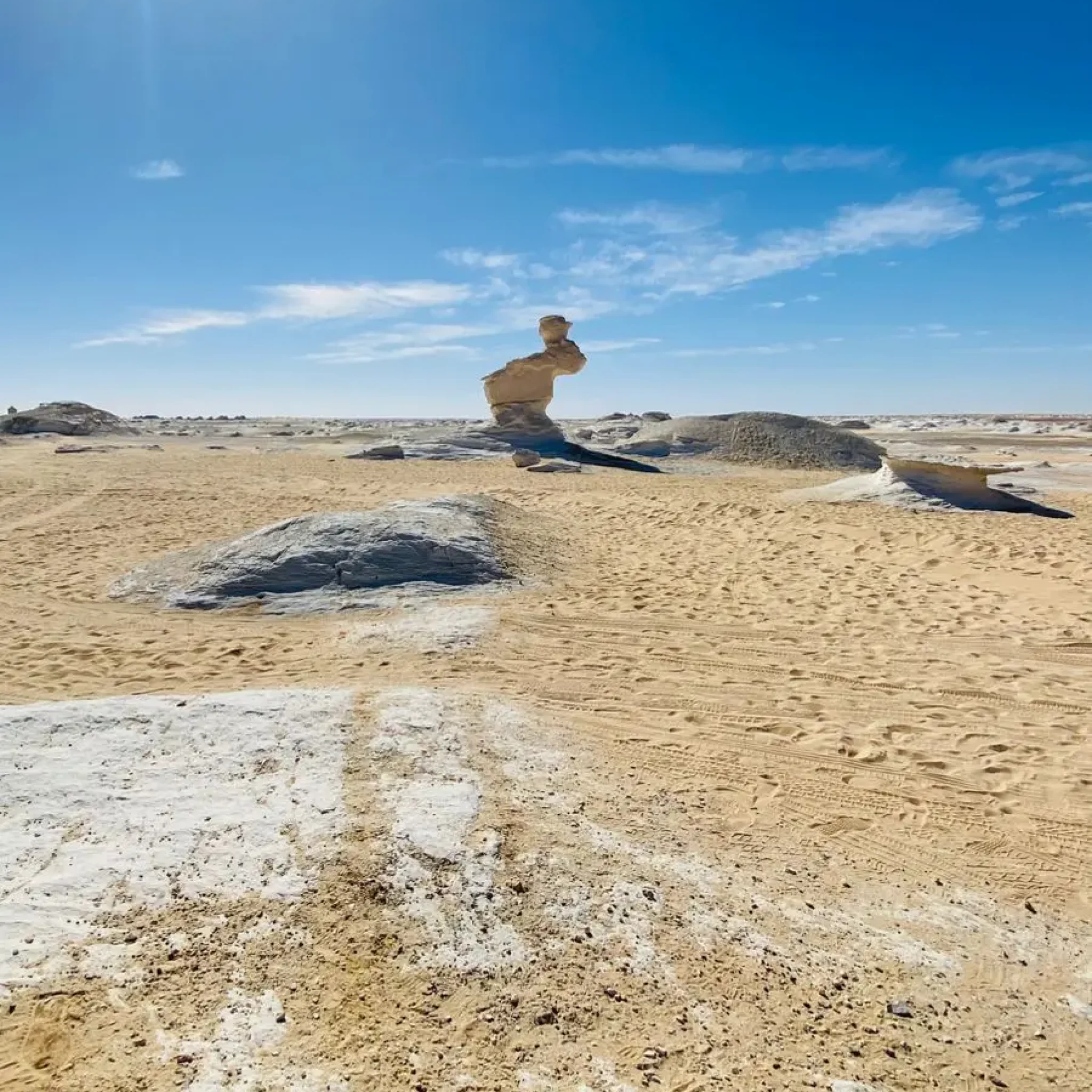 WhatsApp Image 2026-03-23 at 6.28.59 PM