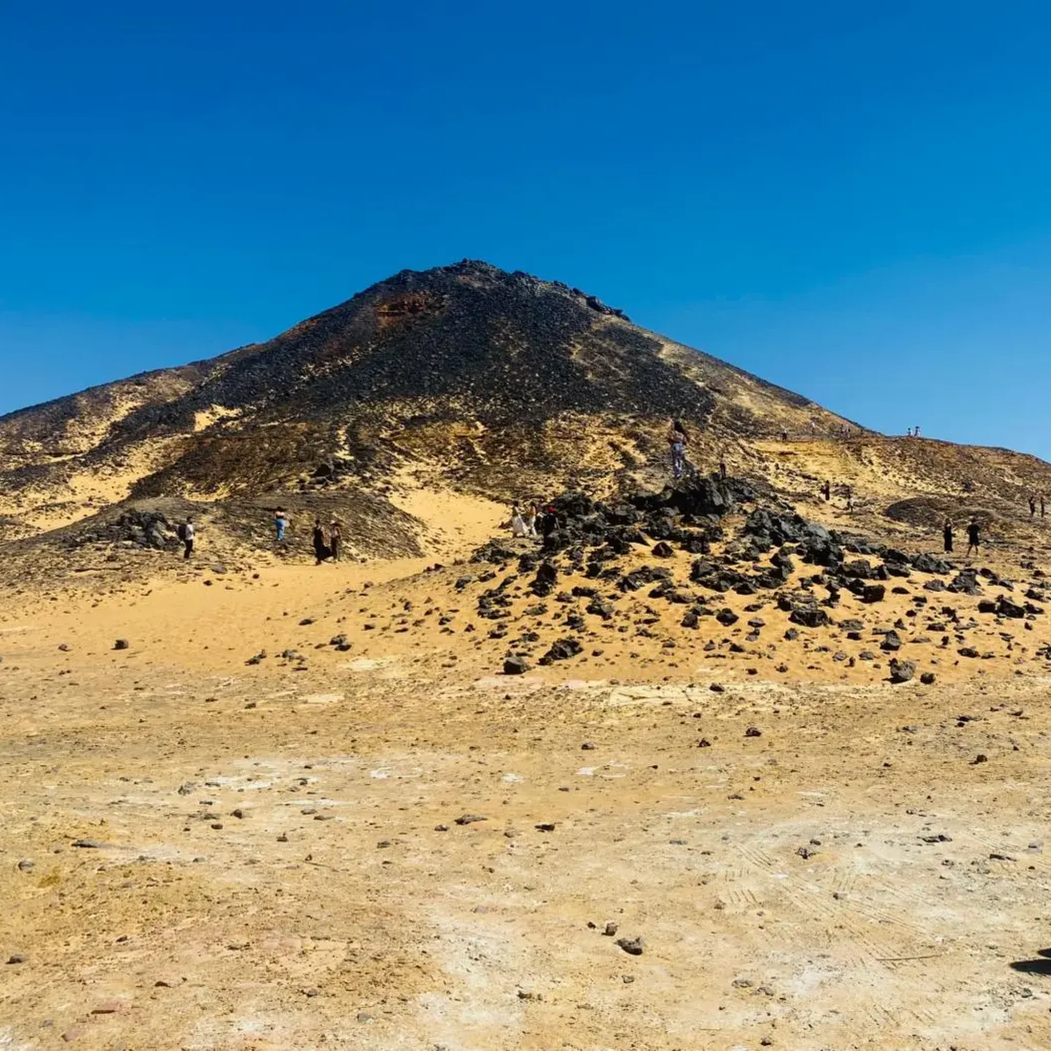 WhatsApp Image 2026-03-23 at 6.39.30 PM