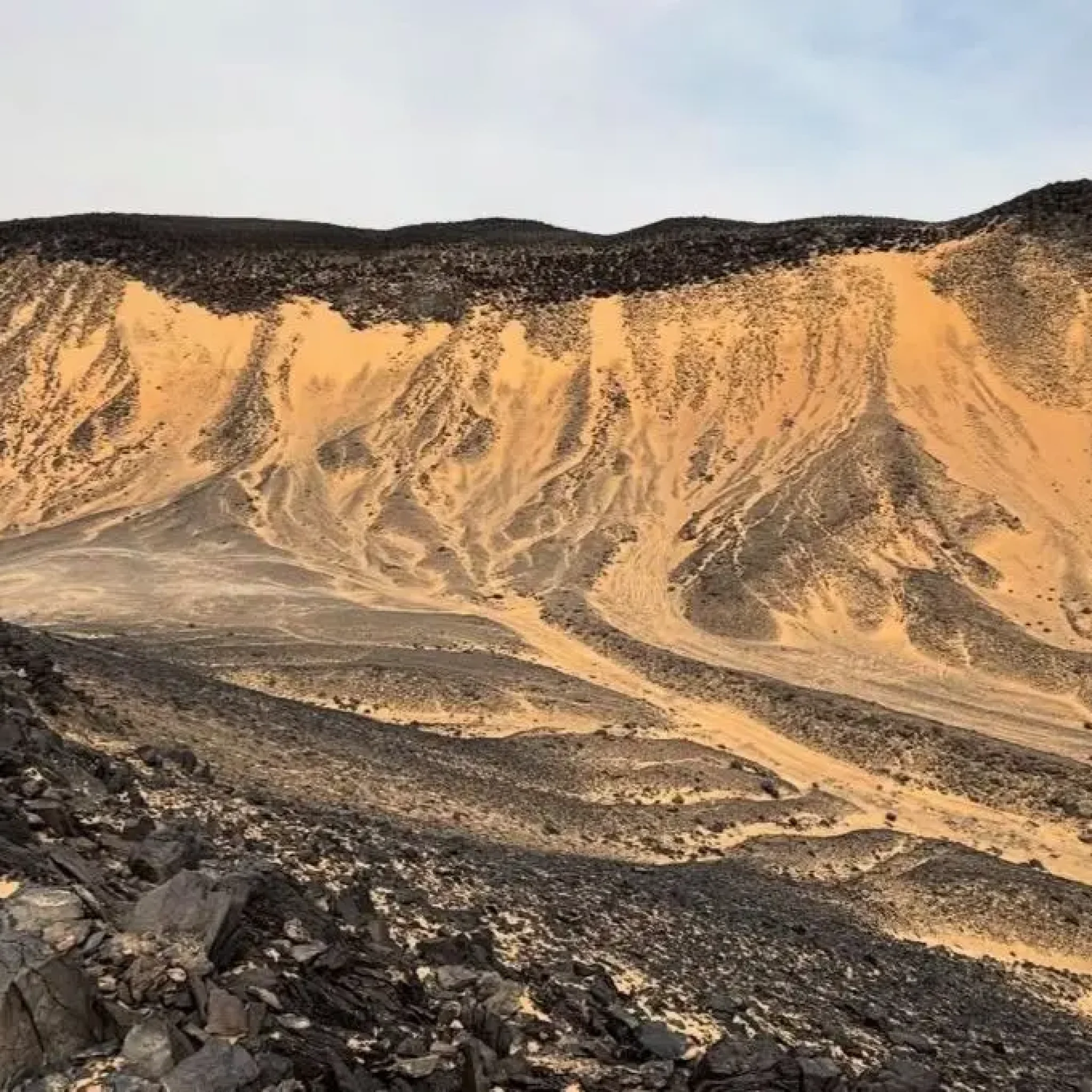 WhatsApp Image 2026-03-23 at 6.39.30 PM (4)