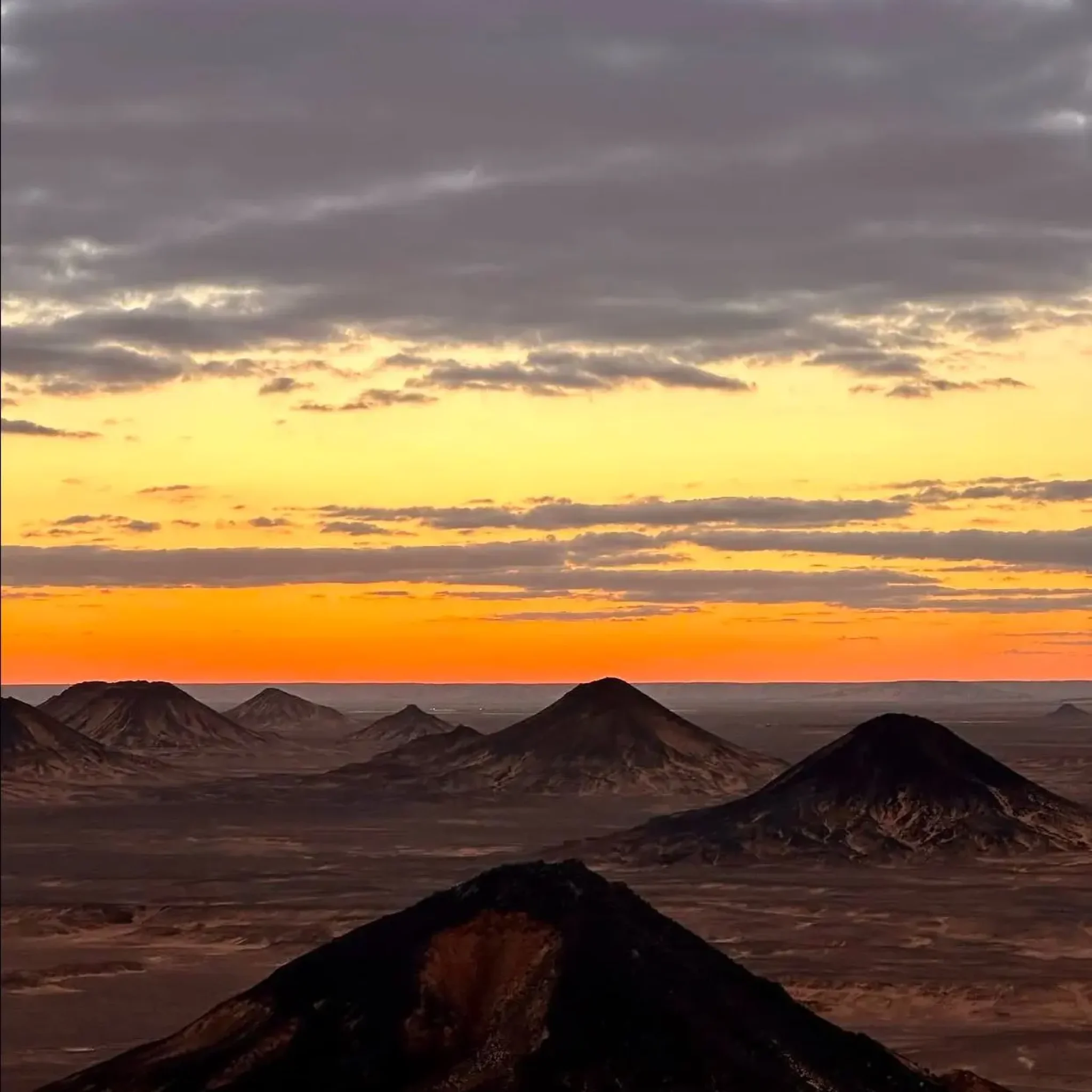 WhatsApp Image 2026-03-23 at 6.39.31 PM (1)