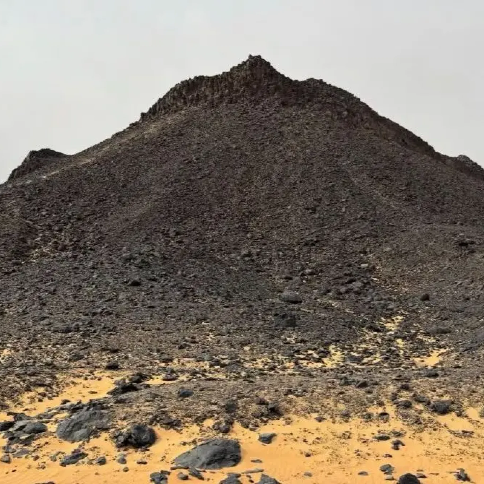 WhatsApp Image 2026-03-23 at 6.39.31 PM