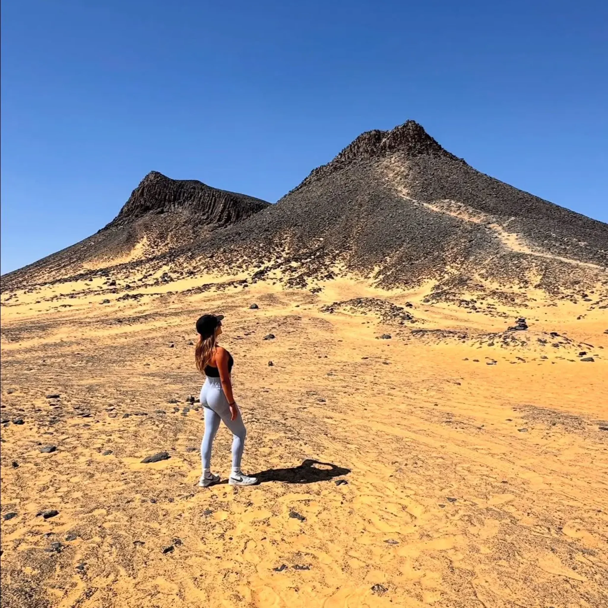 WhatsApp Image 2026-03-23 at 6.39.32 PM