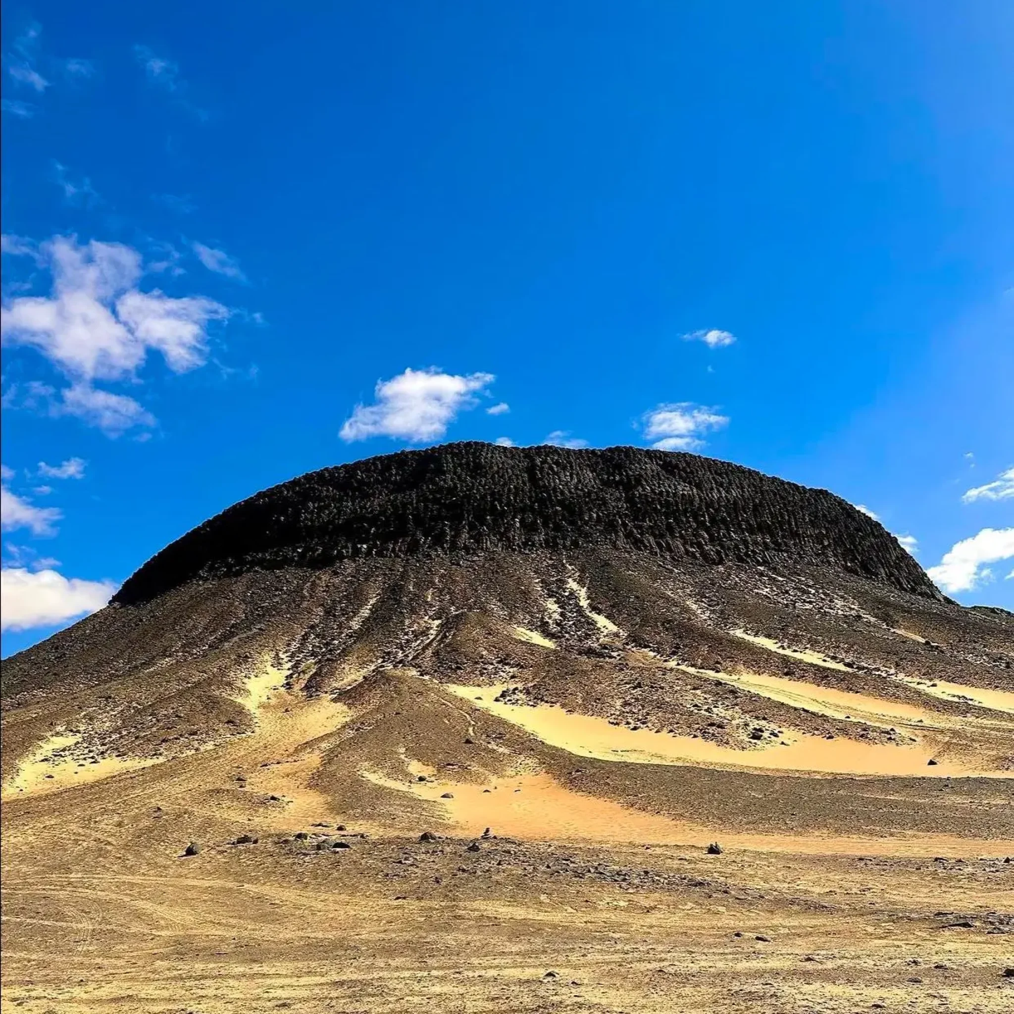 WhatsApp Image 2026-03-23 at 6.39.33 PM (1)