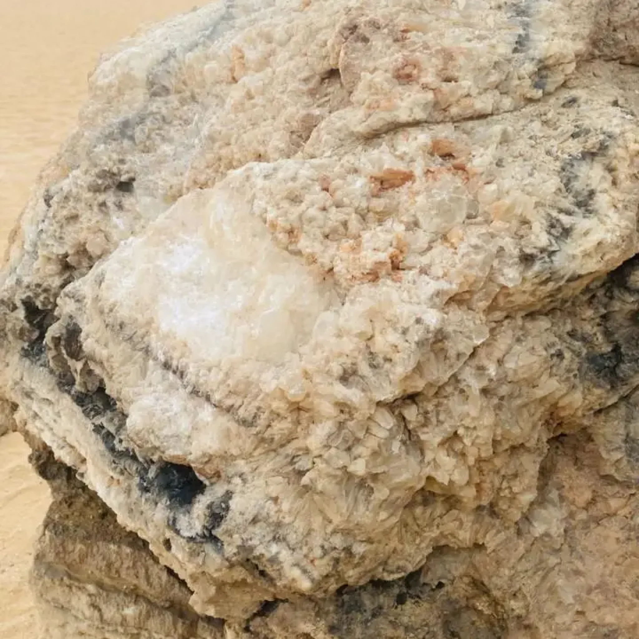 WhatsApp Image 2026-03-23 at 6.44.35 PM