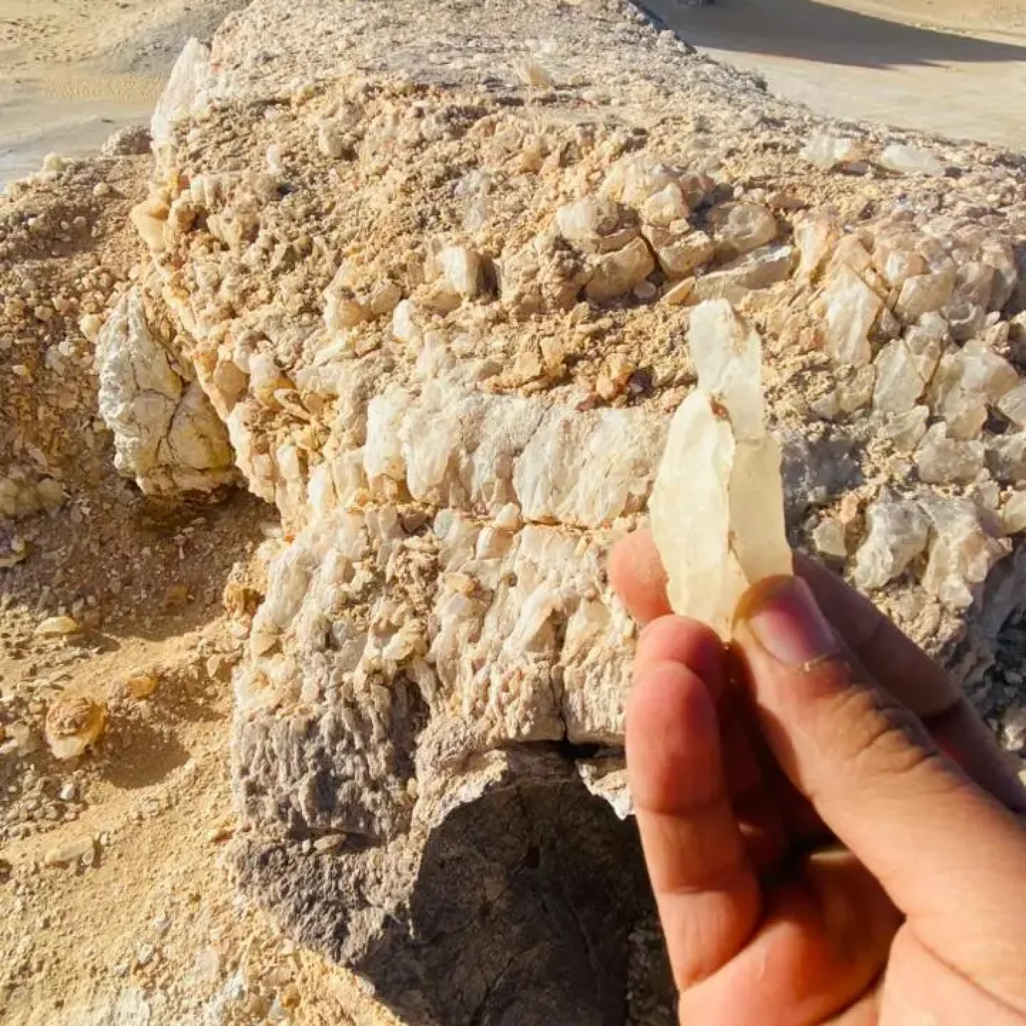 WhatsApp Image 2026-03-23 at 6.44.36 PM (1) (1)