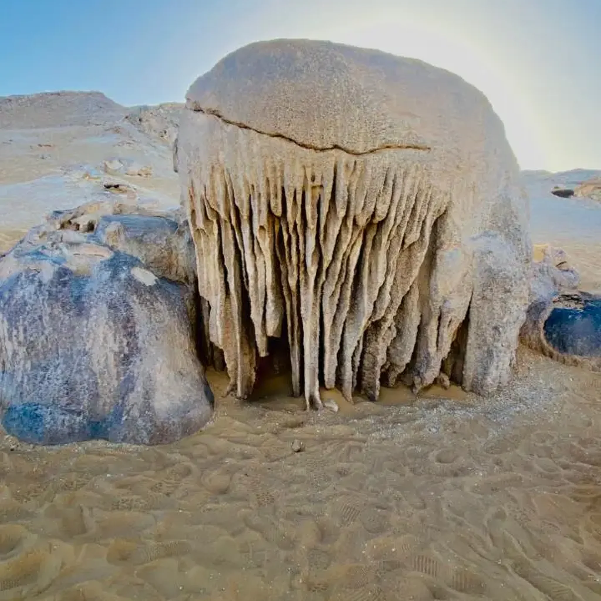 WhatsApp Image 2026-03-23 at 6.44.36 PM (2) (1)