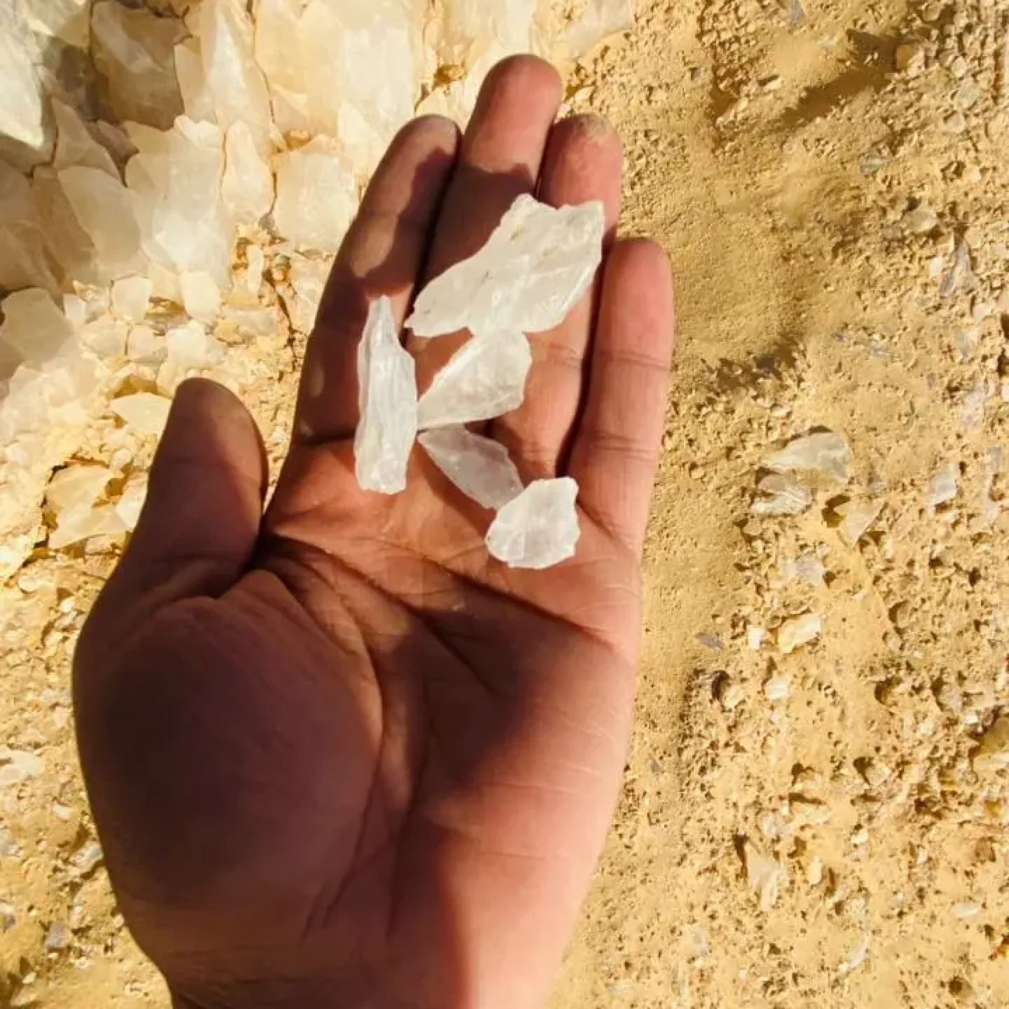 WhatsApp Image 2026-03-23 at 6.44.36 PM