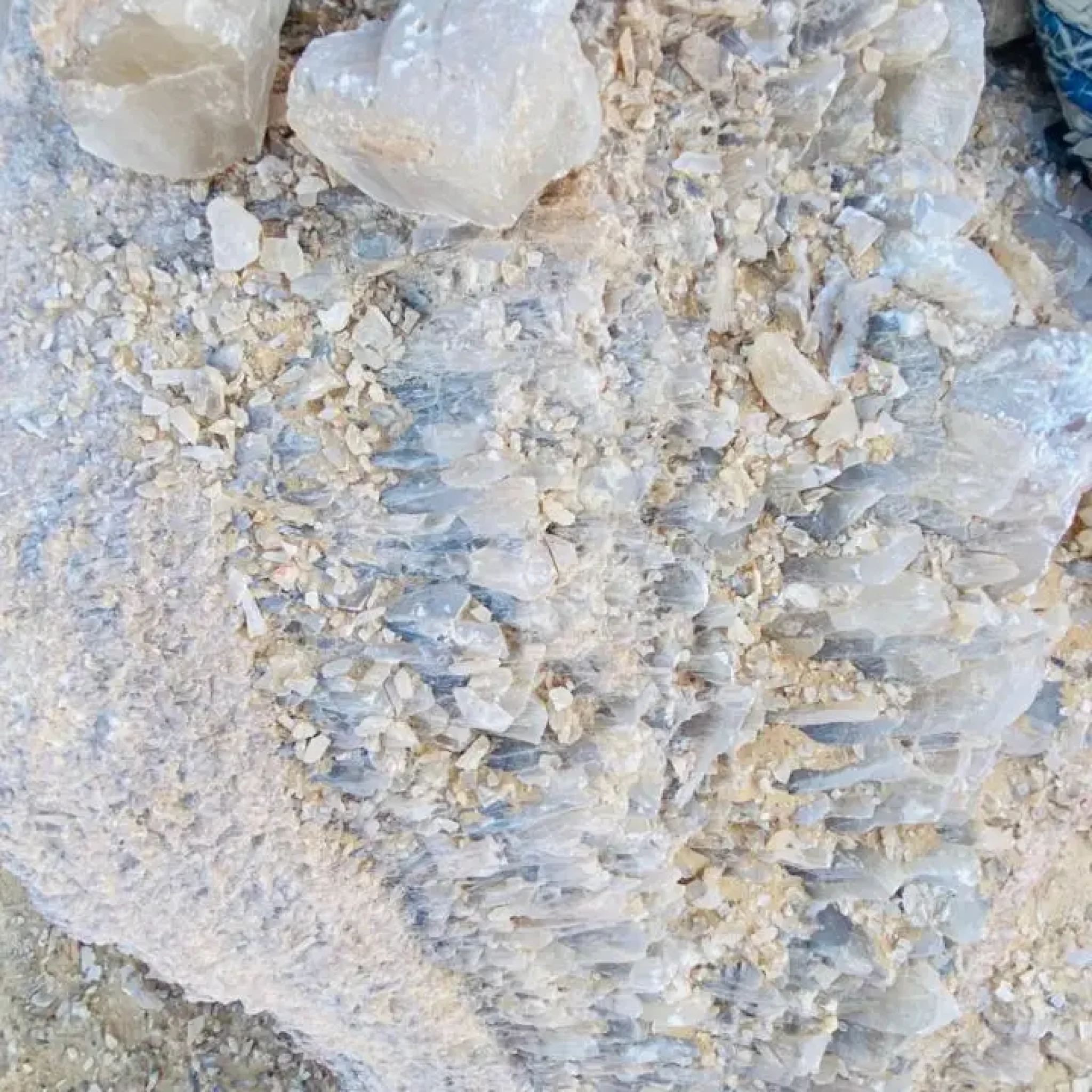 WhatsApp Image 2026-03-23 at 6.44.36 PM (3)