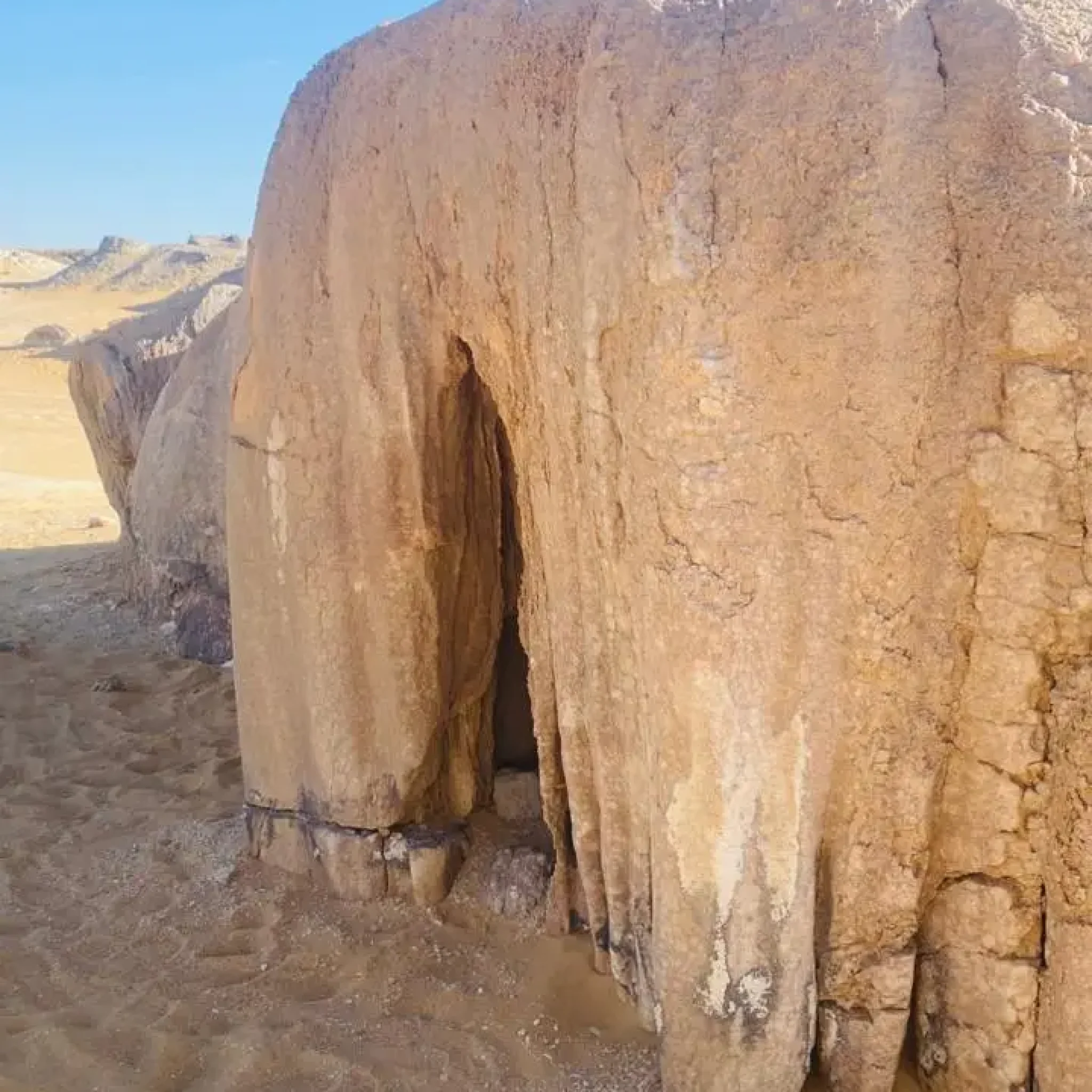 WhatsApp Image 2026-03-23 at 6.44.37 PM (1)