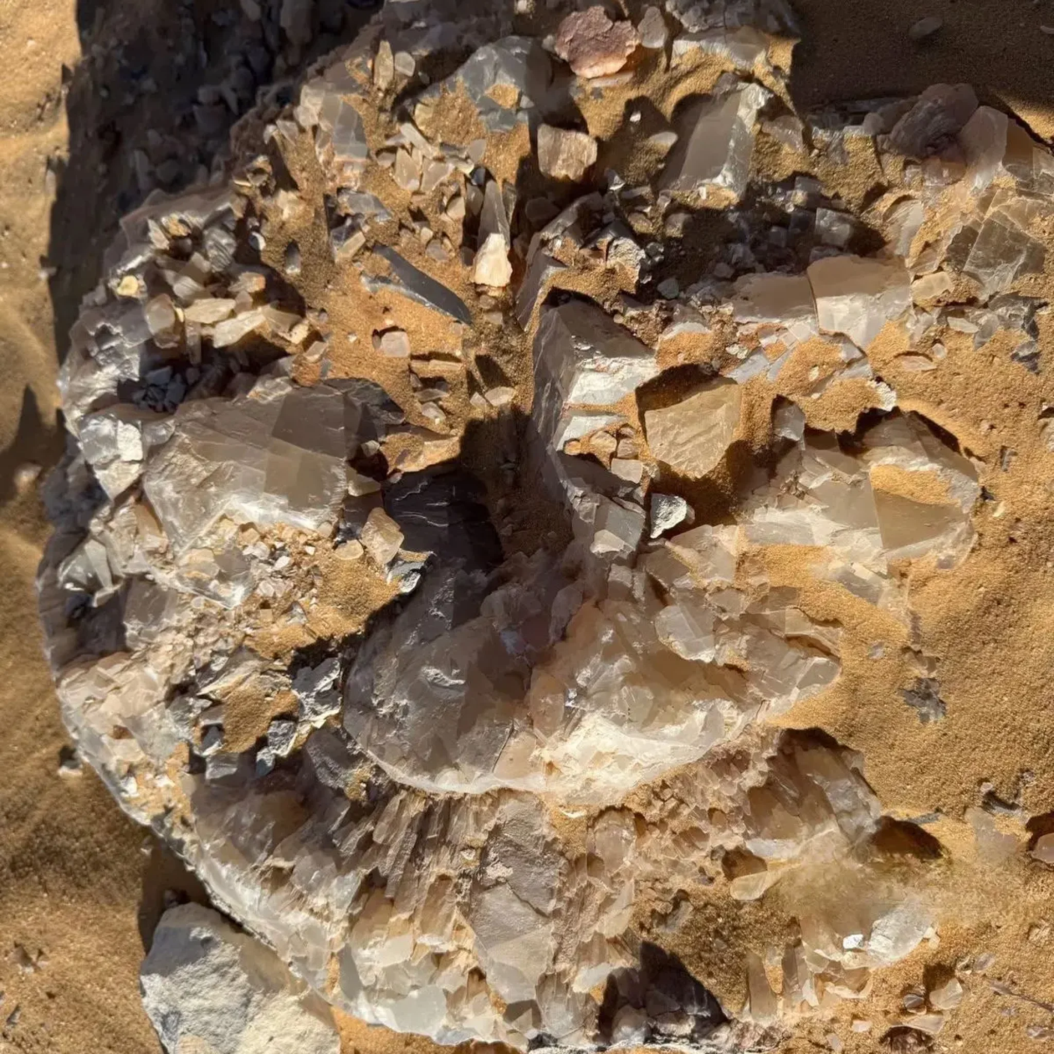 WhatsApp Image 2026-03-23 at 6.44.38 PM (1)