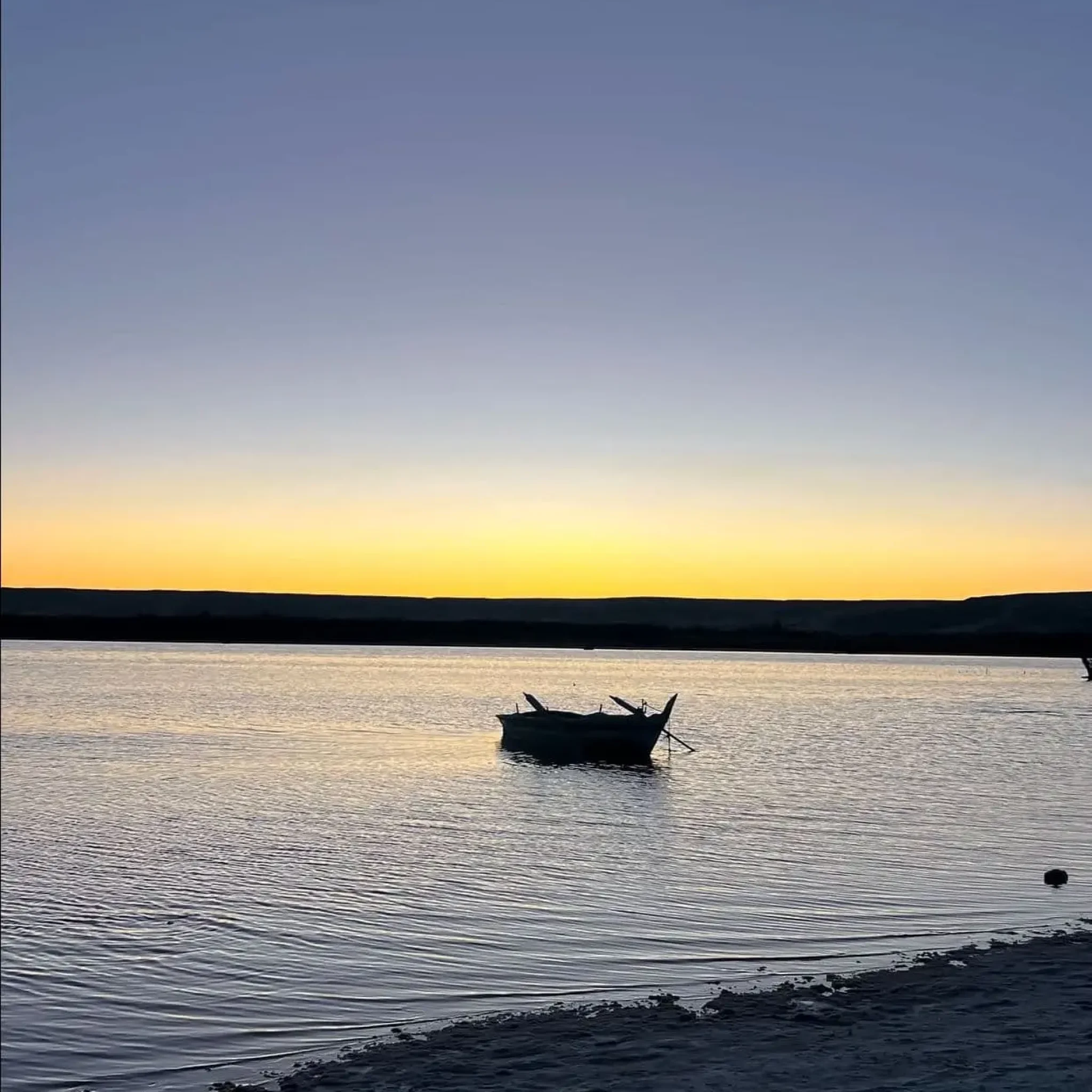 WhatsApp Image 2026-03-23 at 7.07.56 PM (1) (1)