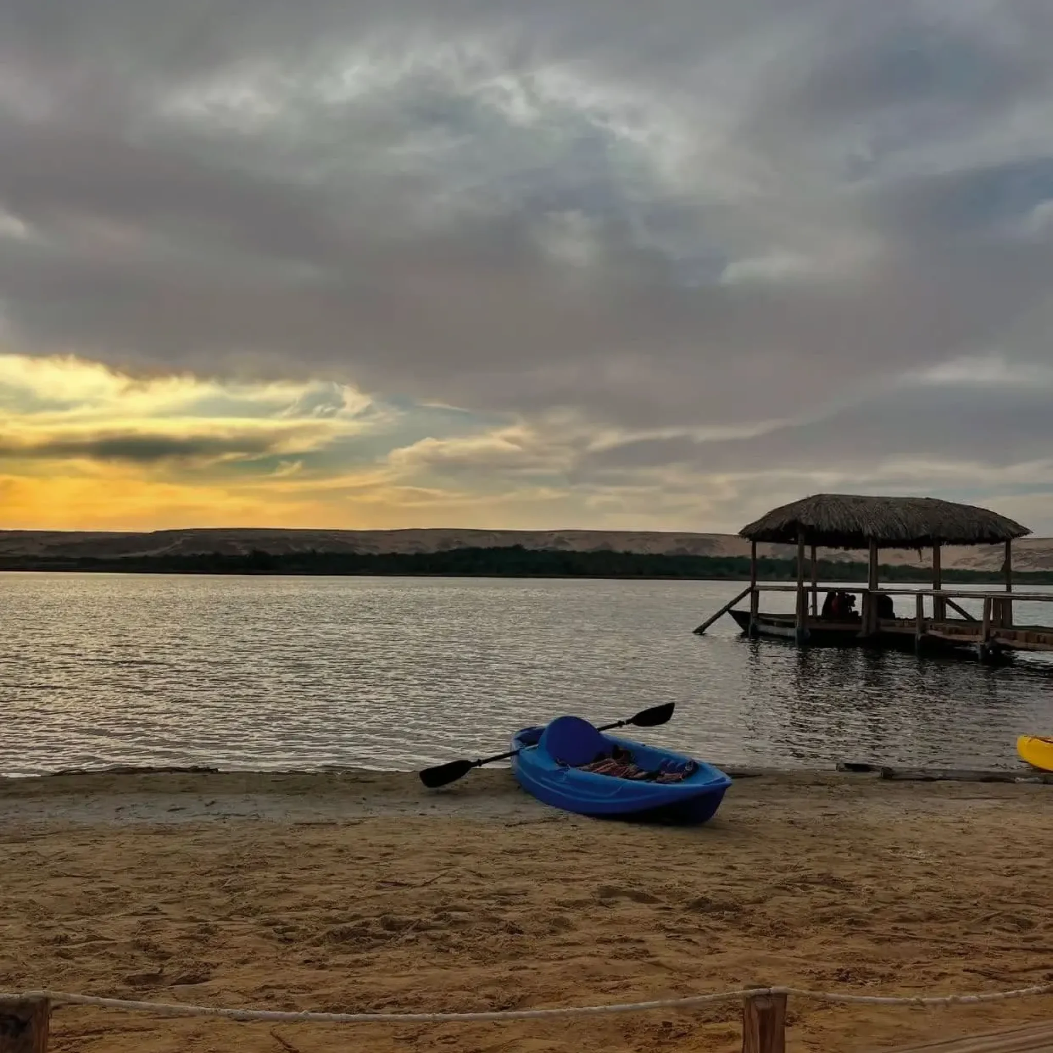 WhatsApp Image 2026-03-23 at 7.07.56 PM (1)