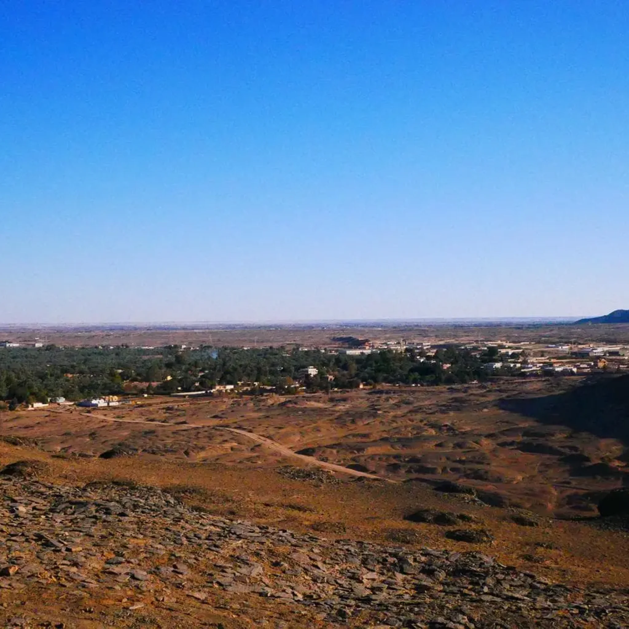 WhatsApp Image 2026-03-23 at 7.07.57 PM (2)