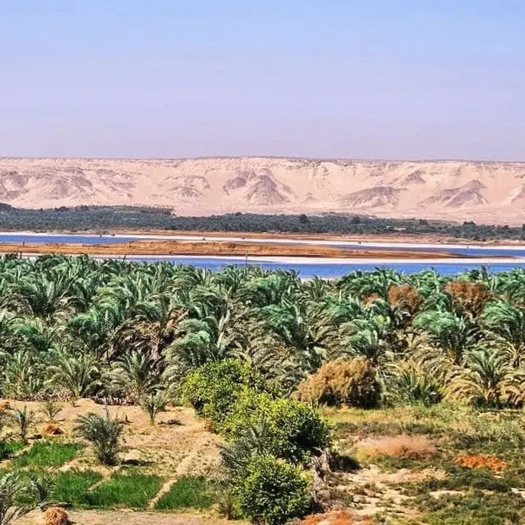 WhatsApp Image 2026-03-23 at 7.07.57 PM (3)