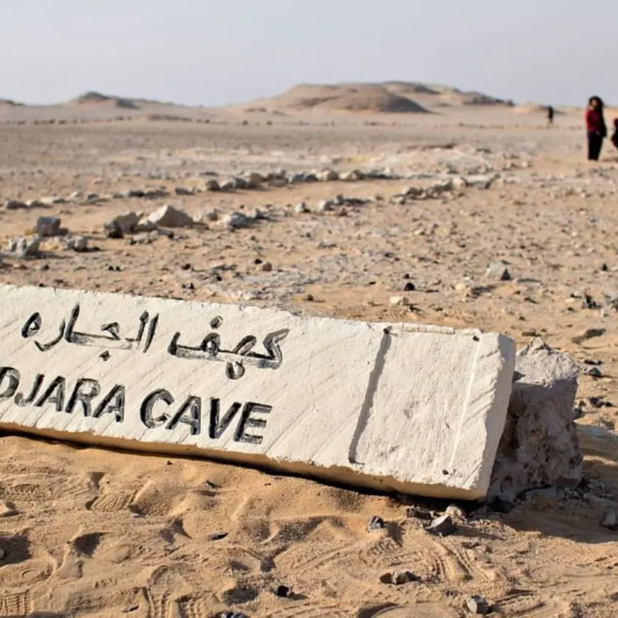 WhatsApp Image 2026-03-23 at 7.13.08 PM