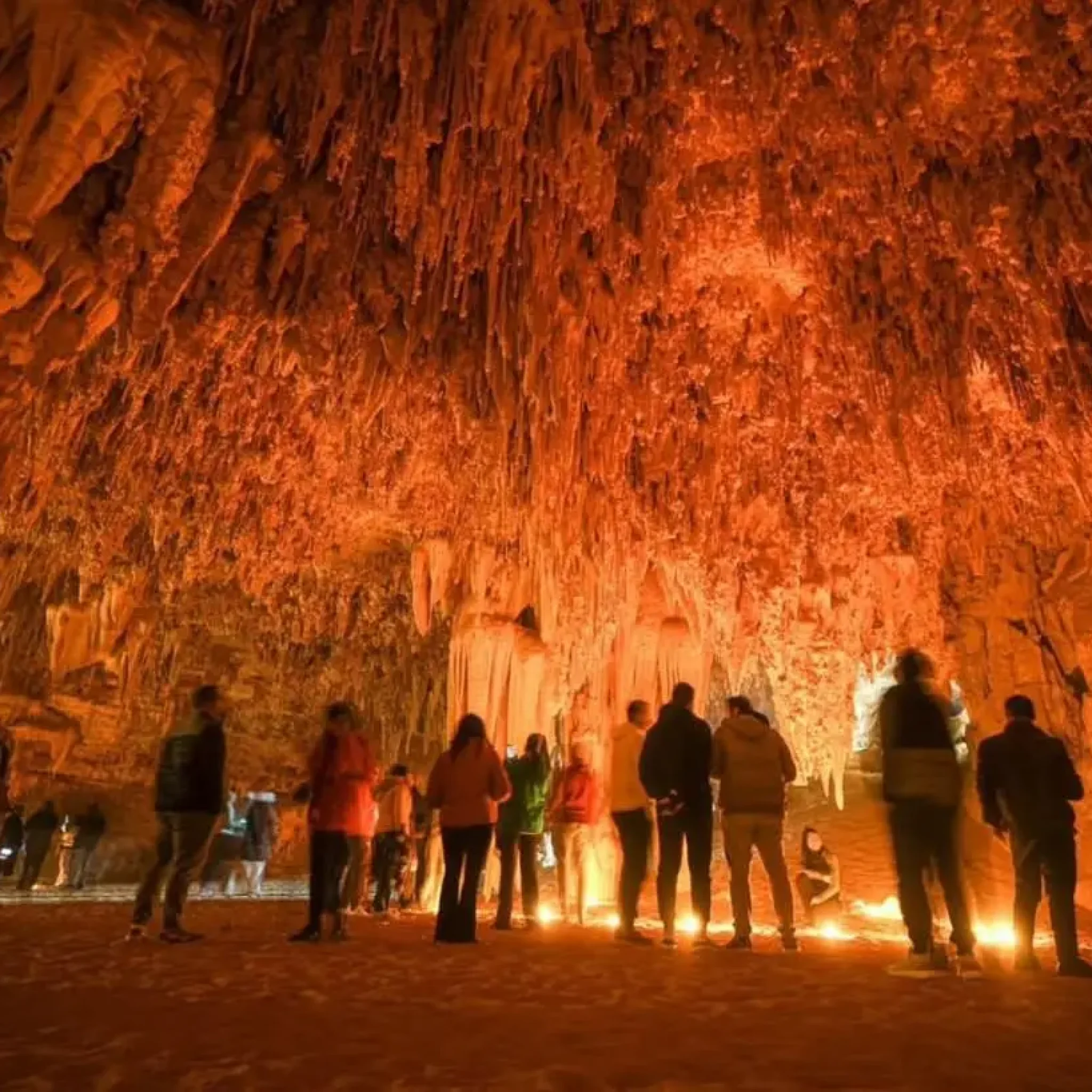 WhatsApp Image 2026-03-23 at 7.13.09 PM (1)