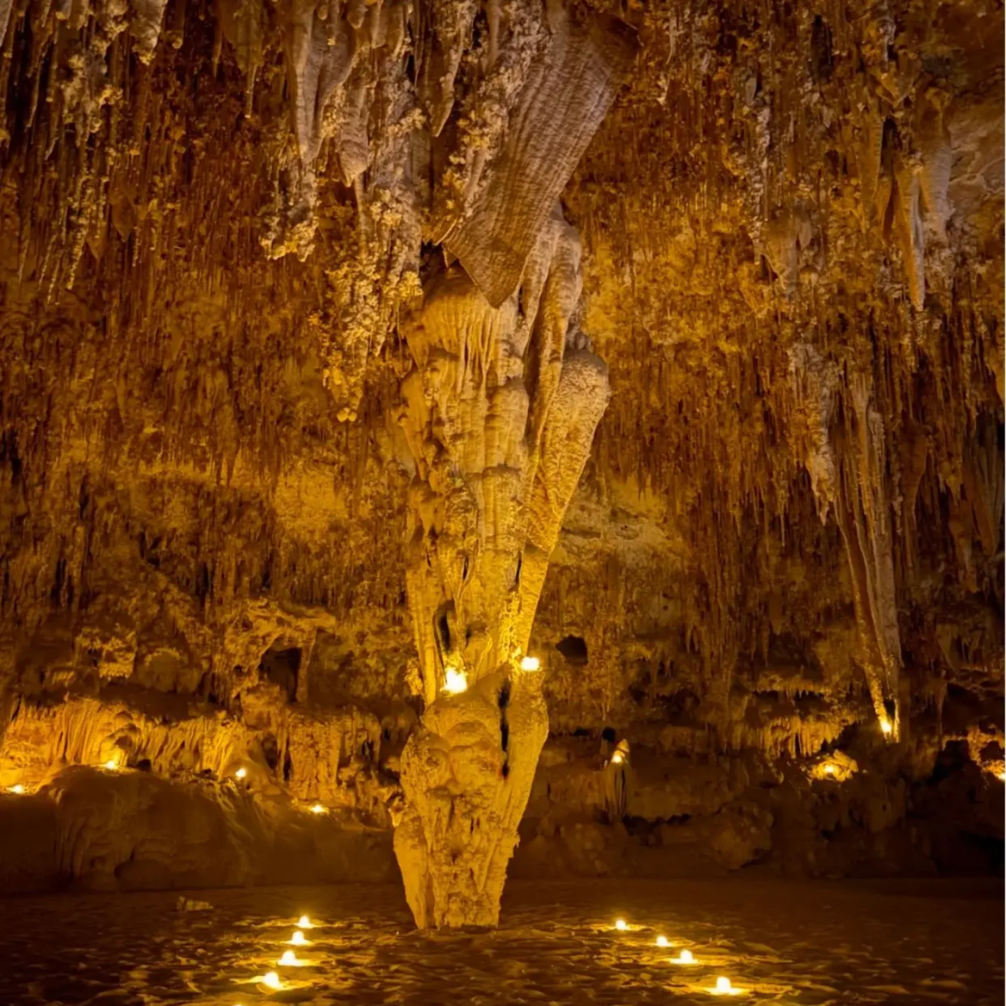 WhatsApp Image 2026-03-23 at 7.13.09 PM (2)