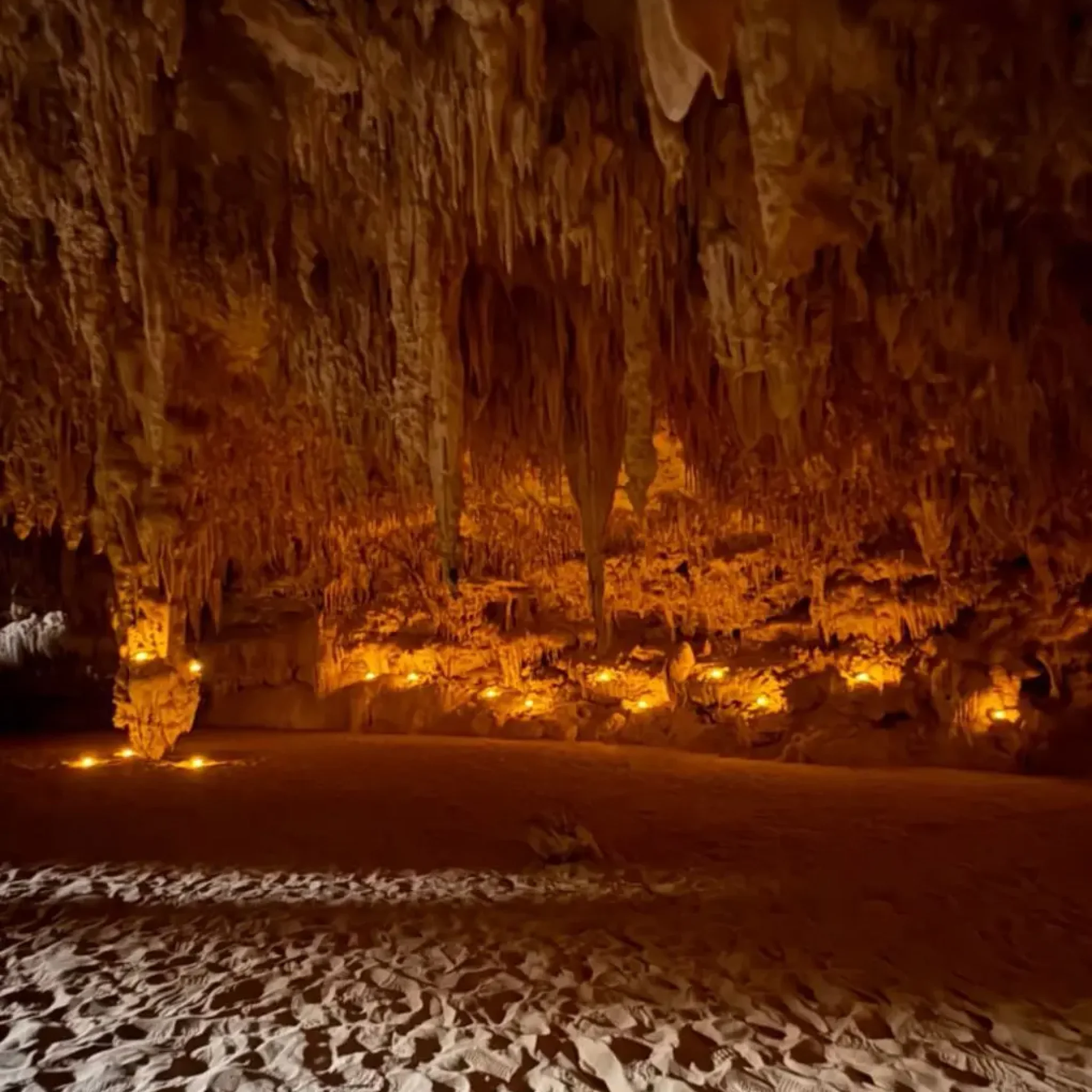 WhatsApp Image 2026-03-23 at 7.13.10 PM