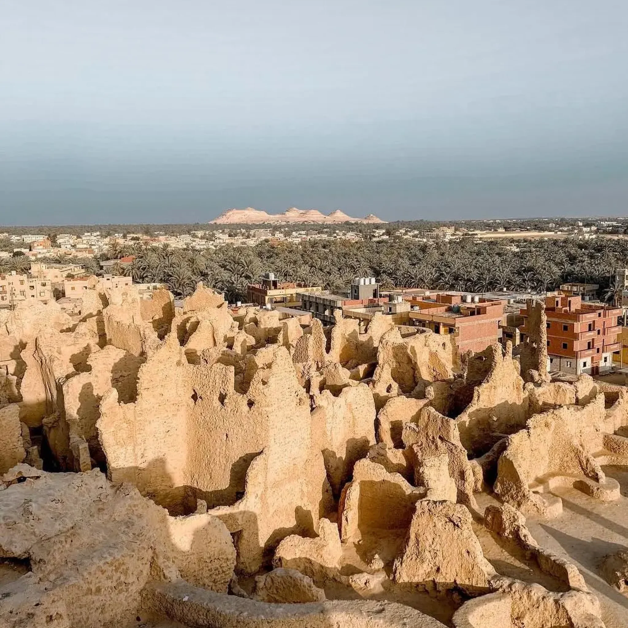 WhatsApp Image 2026-03-24 at 5.57.47 PM (1)