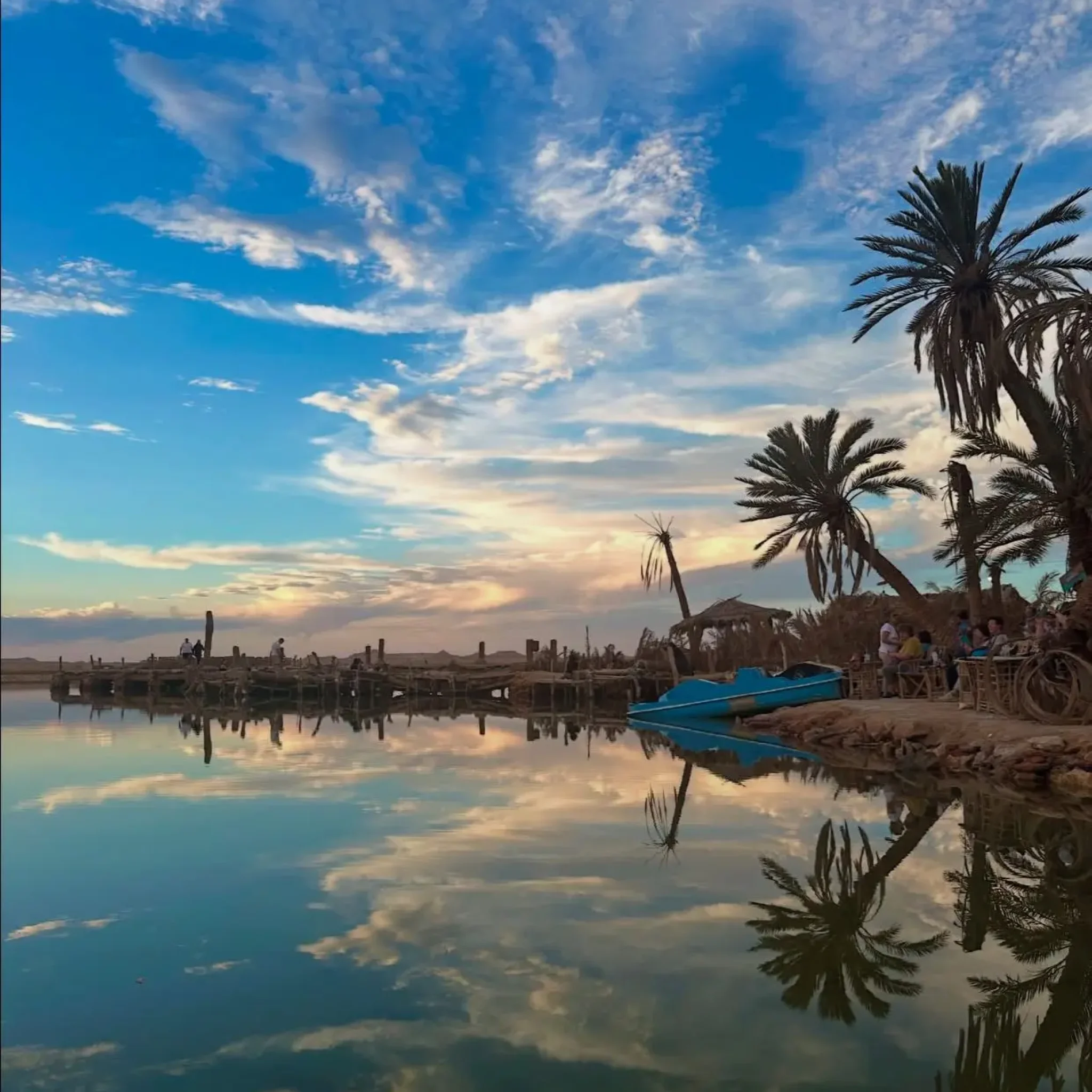 WhatsApp Image 2026-03-24 at 5.57.48 PM (1)