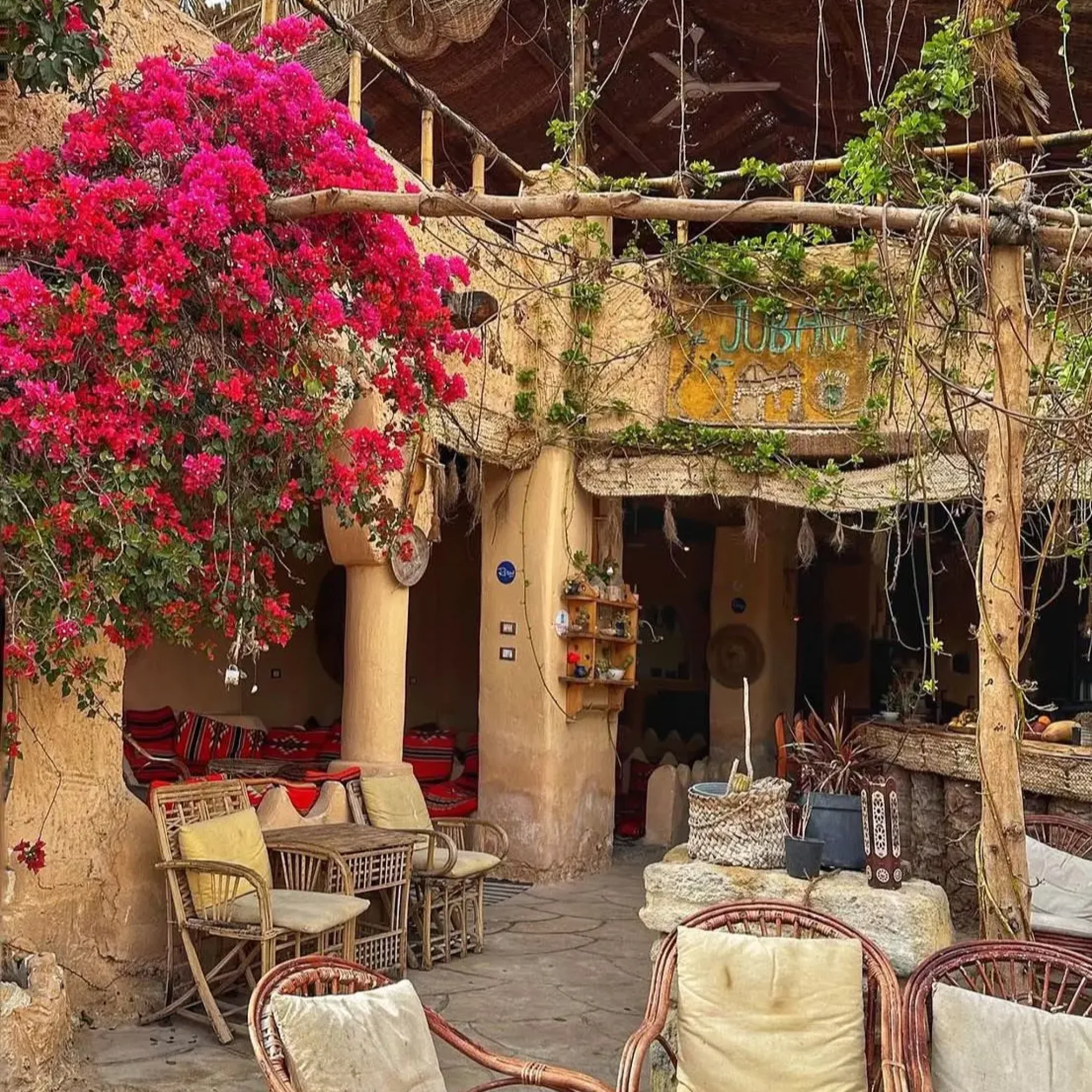 WhatsApp Image 2026-03-24 at 5.57.49 PM (1)