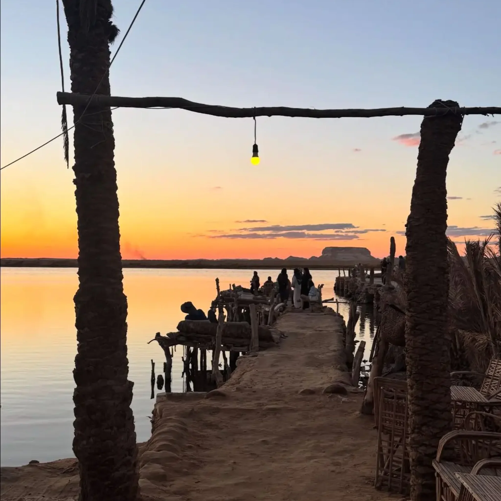 WhatsApp Image 2026-03-24 at 5.57.49 PM