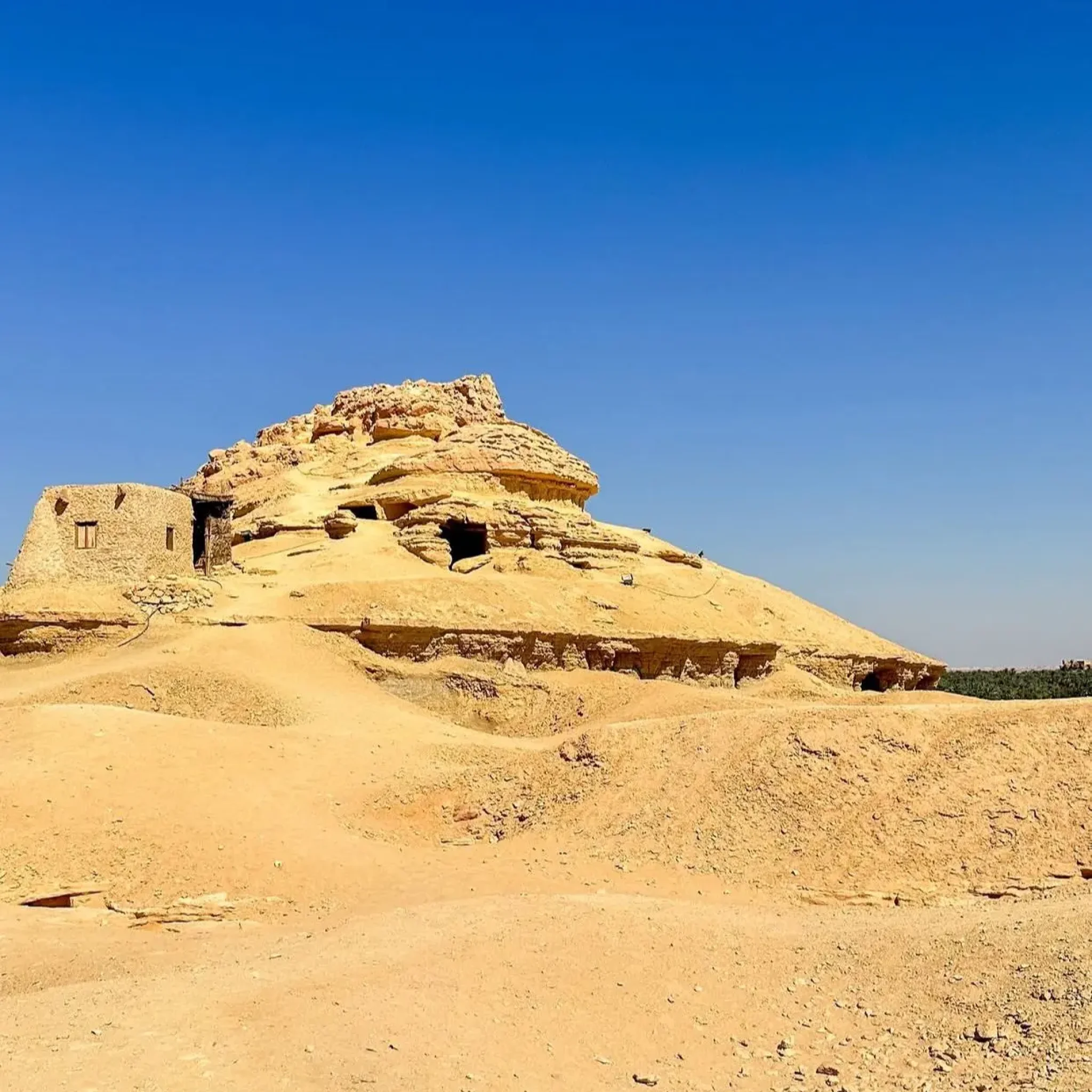 WhatsApp Image 2026-03-24 at 5.57.49 PM (4) (1)