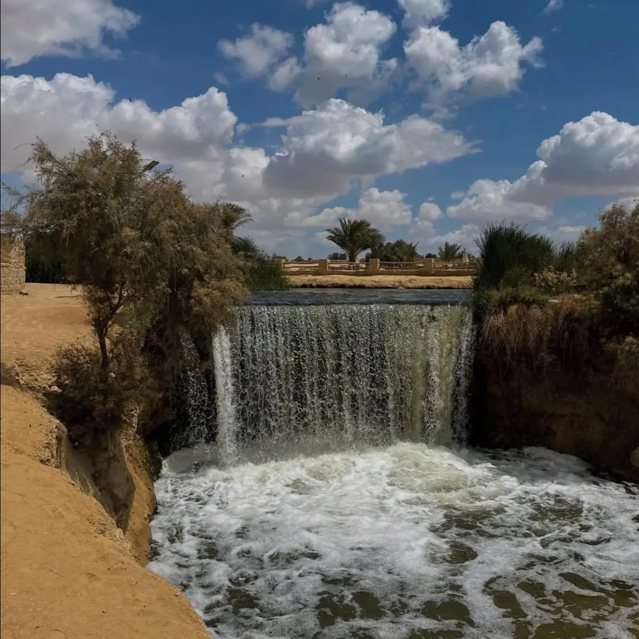 WhatsApp Image 2026-03-24 at 6.10.56 PM