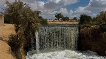 Fayoum Egypt: Travel Guide to Wadi El-Hitan, Lakes & Desert Adventure
