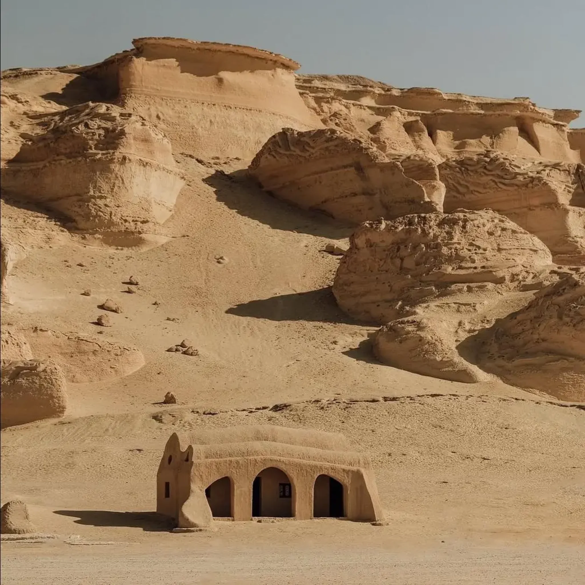 WhatsApp Image 2026-03-24 at 6.10.57 PM (2)