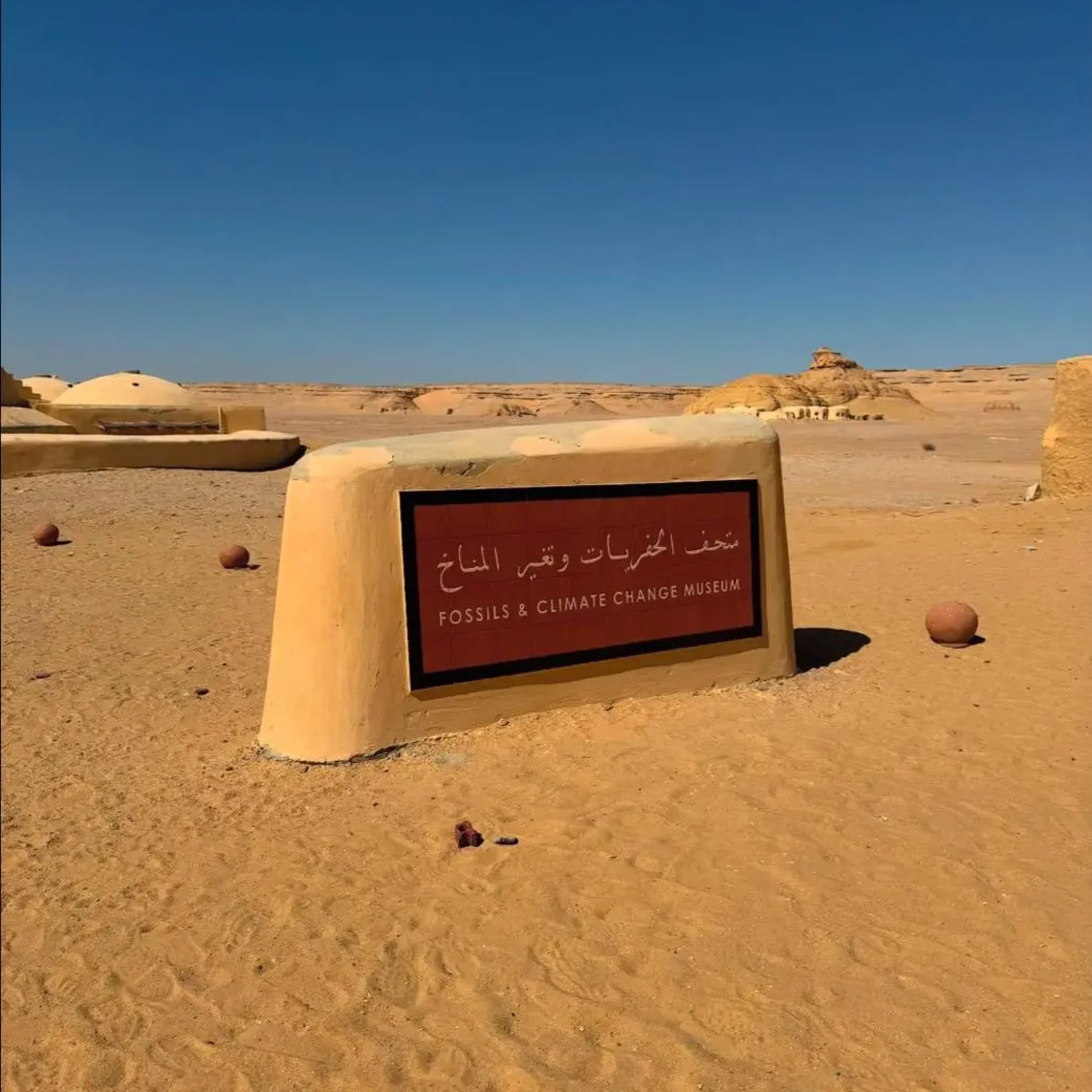 WhatsApp Image 2026-03-24 at 6.10.57 PM (3)