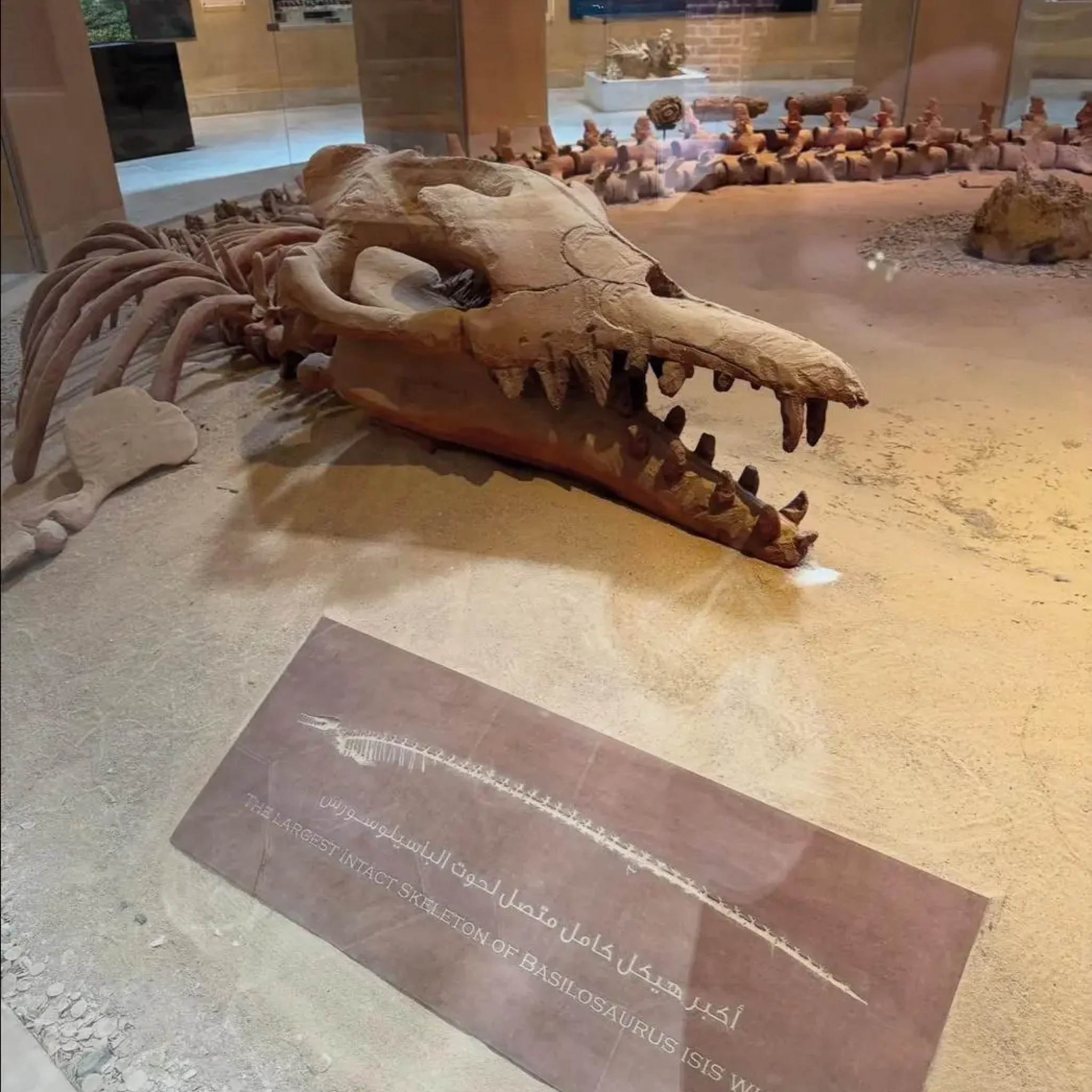 WhatsApp Image 2026-03-24 at 6.10.58 PM (1)