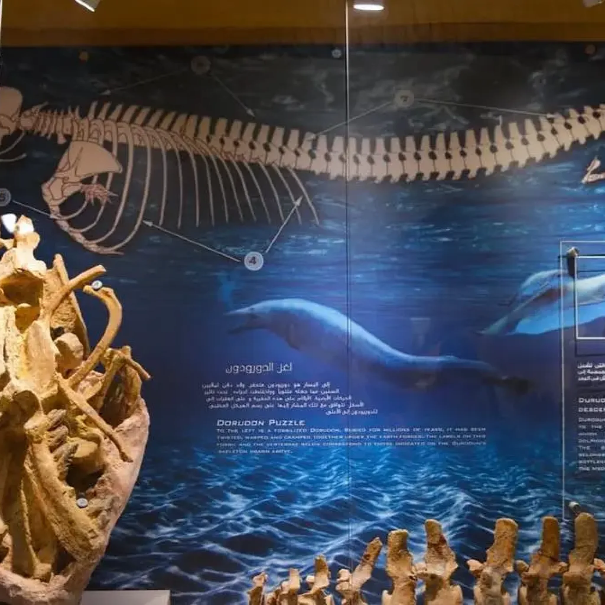 WhatsApp Image 2026-03-24 at 6.10.58 PM (2)