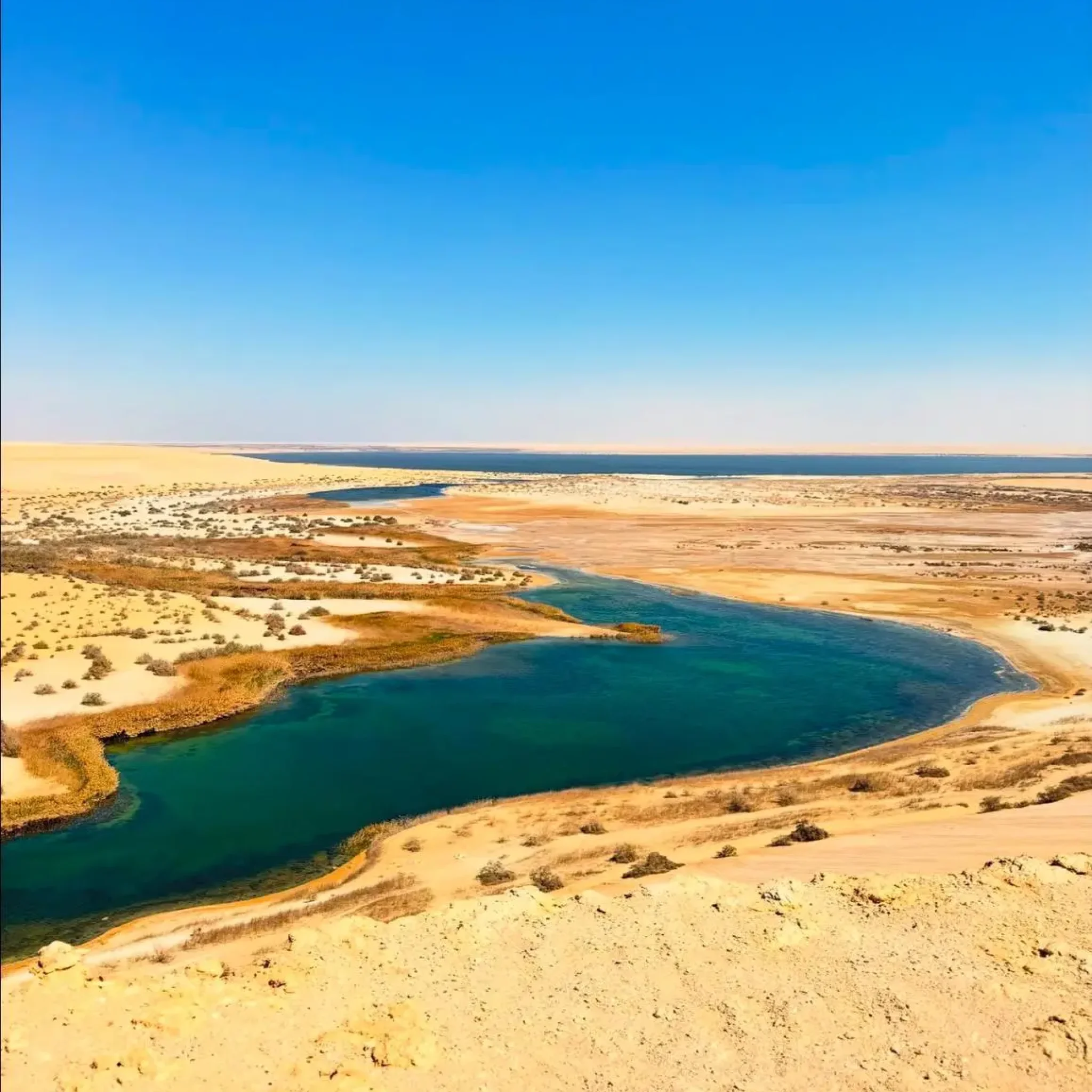 WhatsApp Image 2026-03-24 at 6.10.58 PM