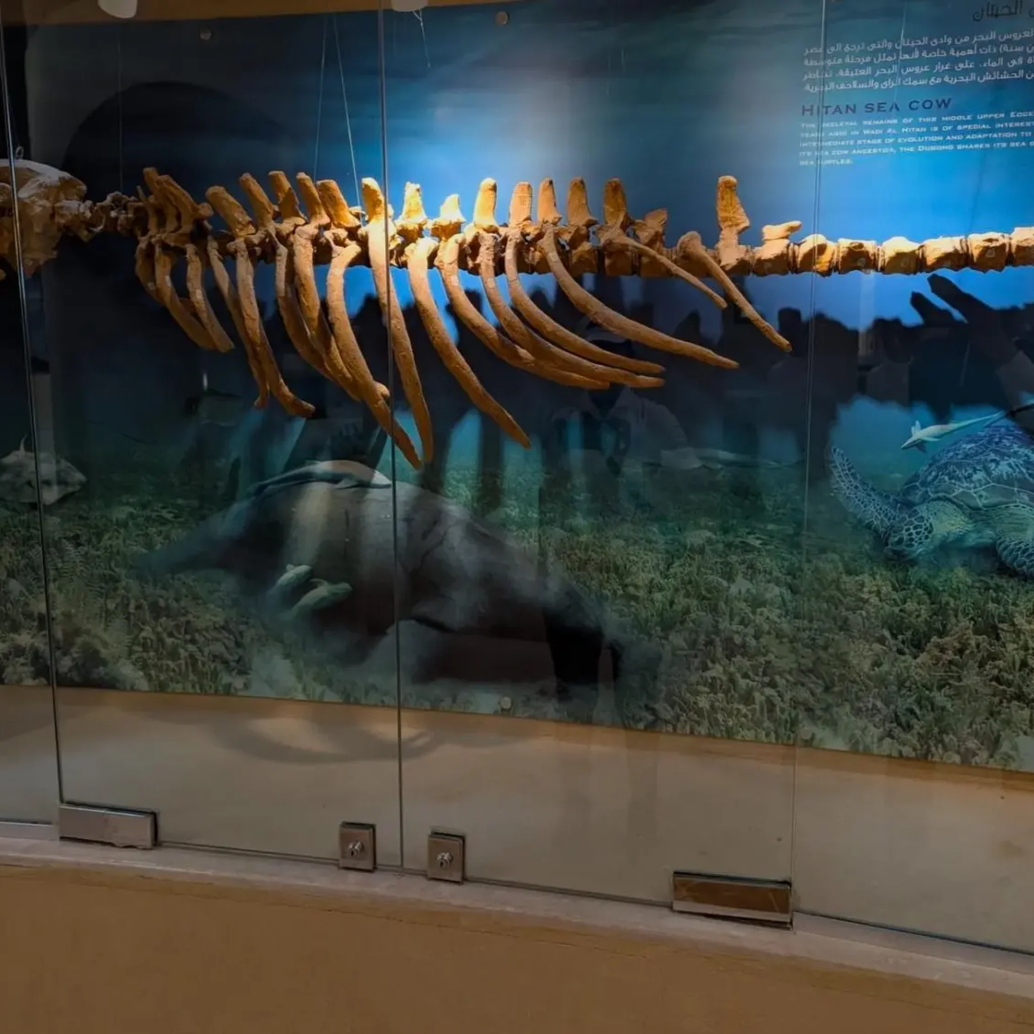 WhatsApp Image 2026-03-24 at 6.10.58 PM (3)