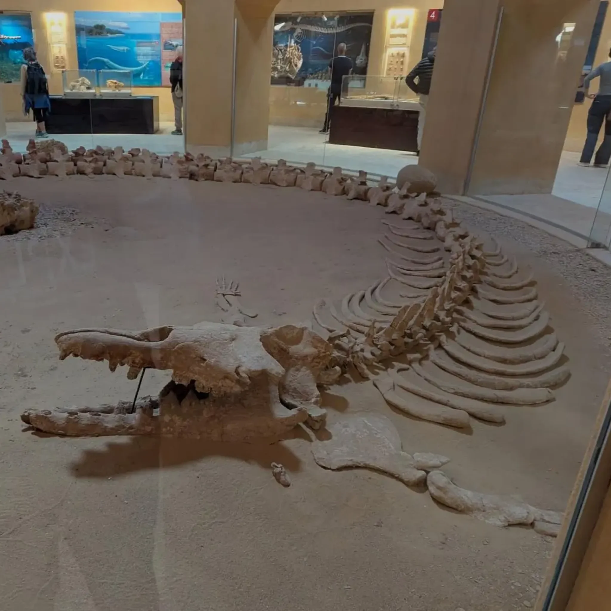 WhatsApp Image 2026-03-24 at 6.10.59 PM (1)