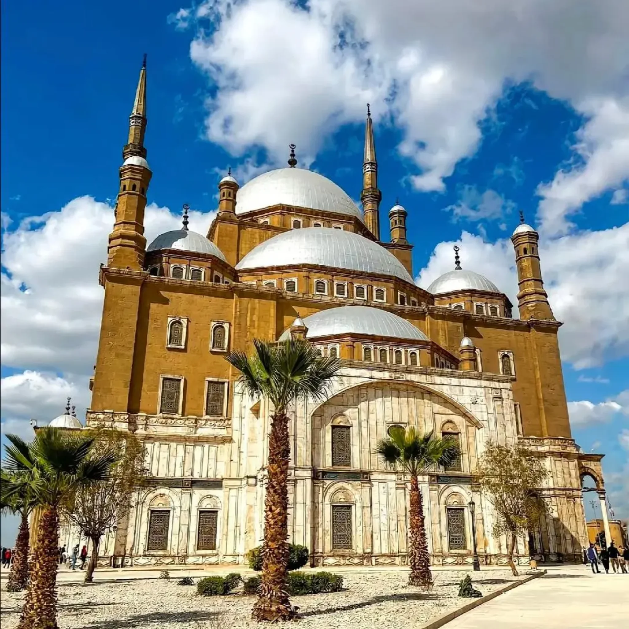 WhatsApp Image 2026-03-24 at 7.40.35 PM