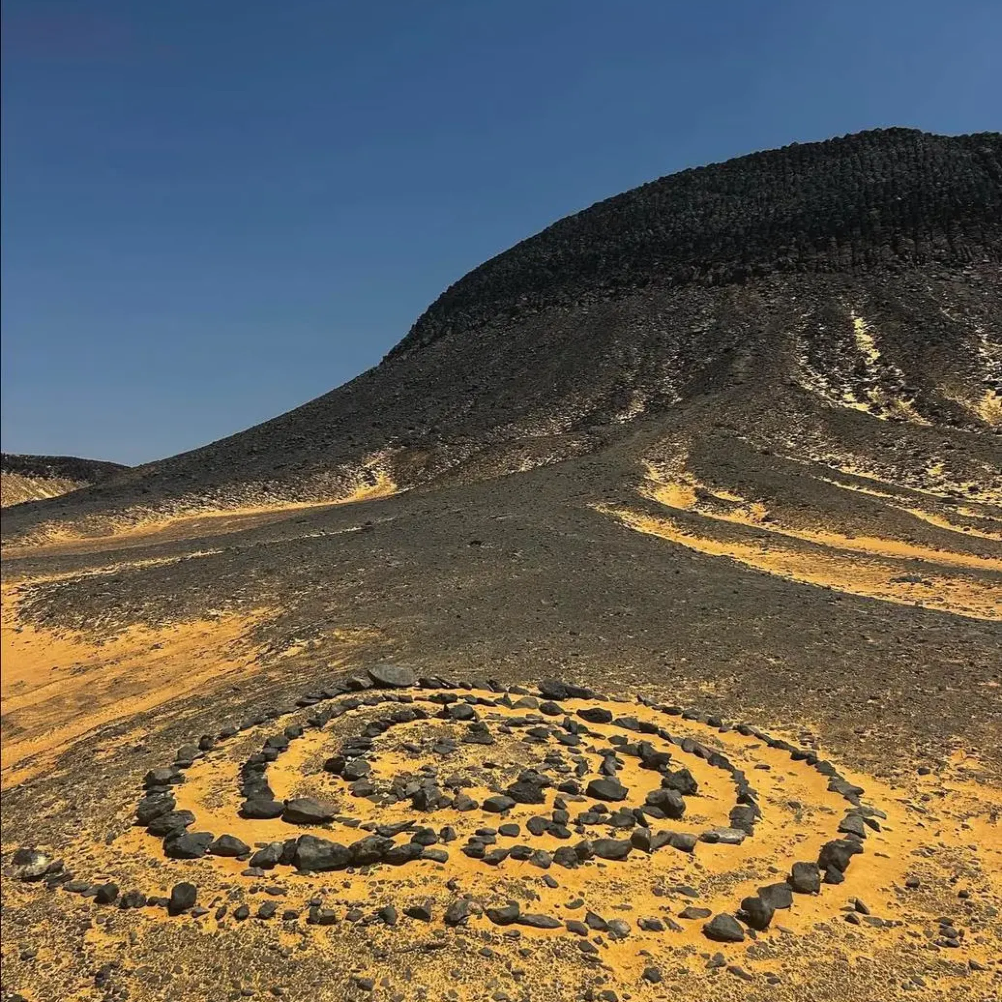 WhatsApp Image 2026-03-24 at 7.42.28 PM