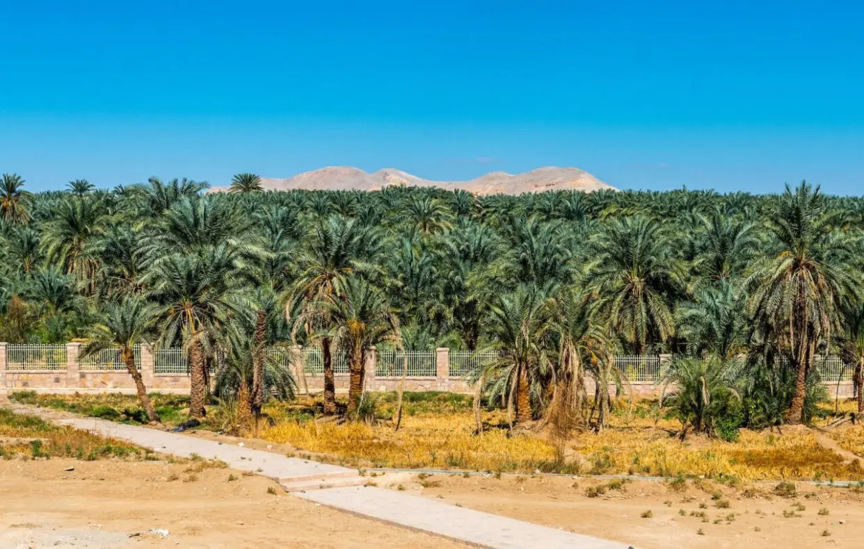 6 DAYS / 5 NIGHTS — CAIRO & LUXOR & white Desert & Bahariya OASIS & Dakhla & Kharga