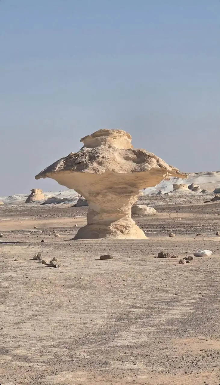 ⛺Day 3: Bahariya To White Desert (Camping)