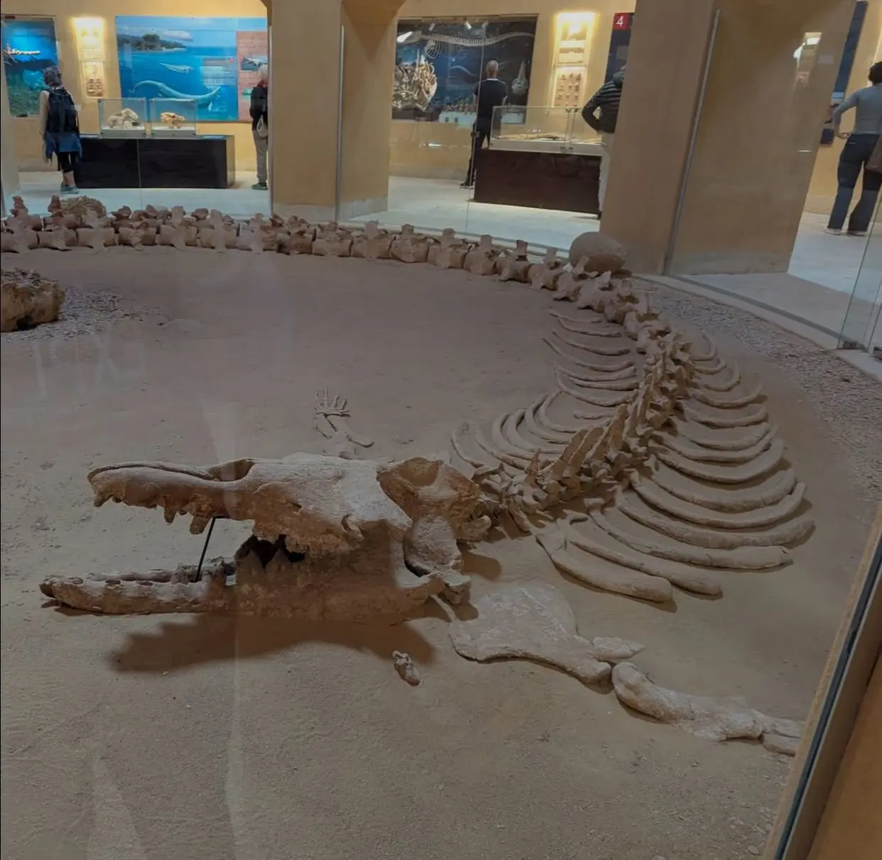 🏺Day 1: Cairo To Fayoum 