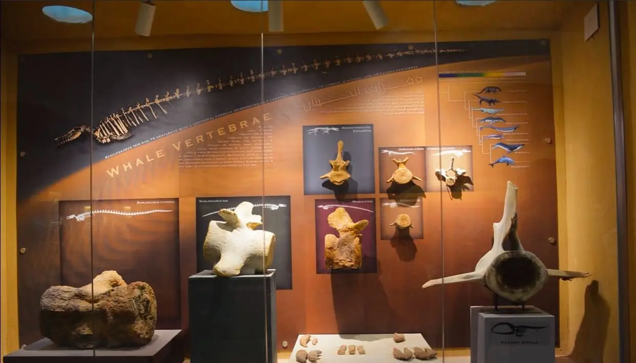 6 DAYS / 5 NIGHTS — CAIRO & LUXOR & white Desert & Bahariya OASIS & Dakhla & Kharga